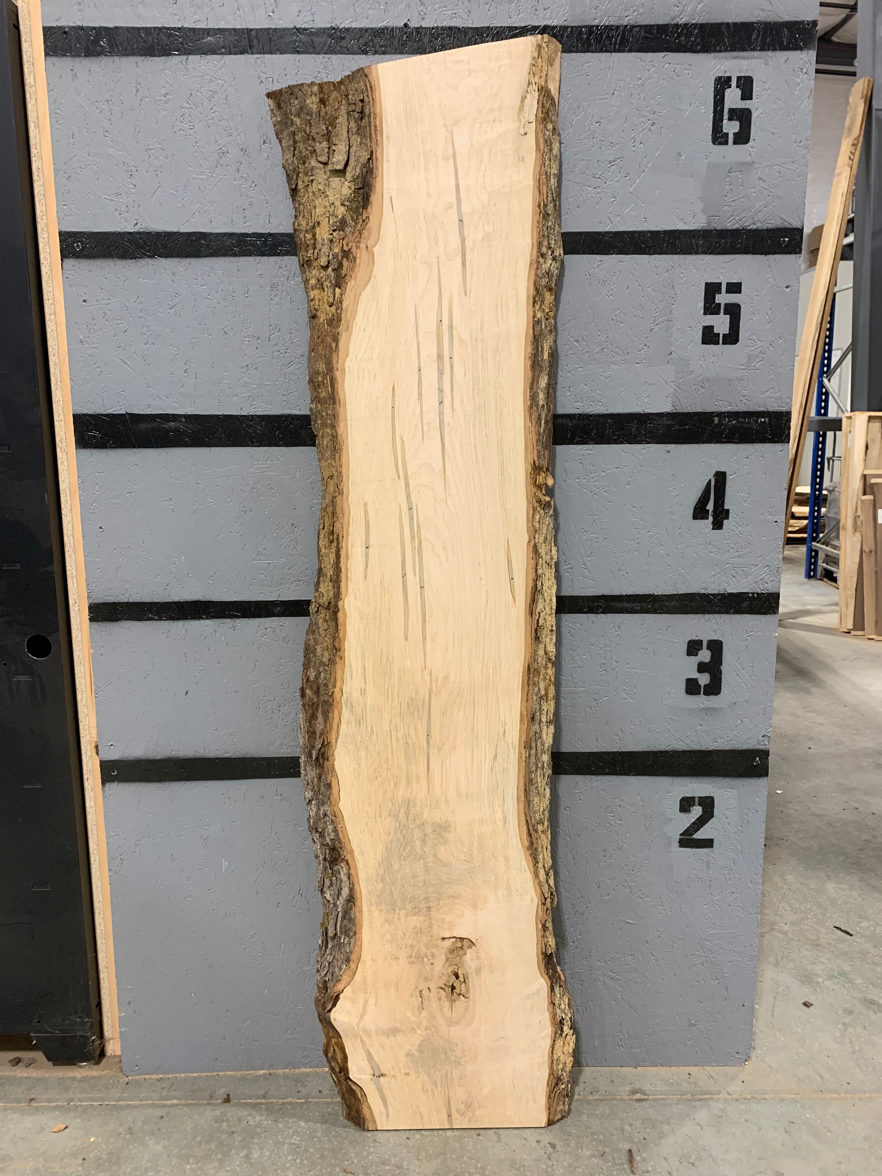 Maple Slab - Ambrosia | W456