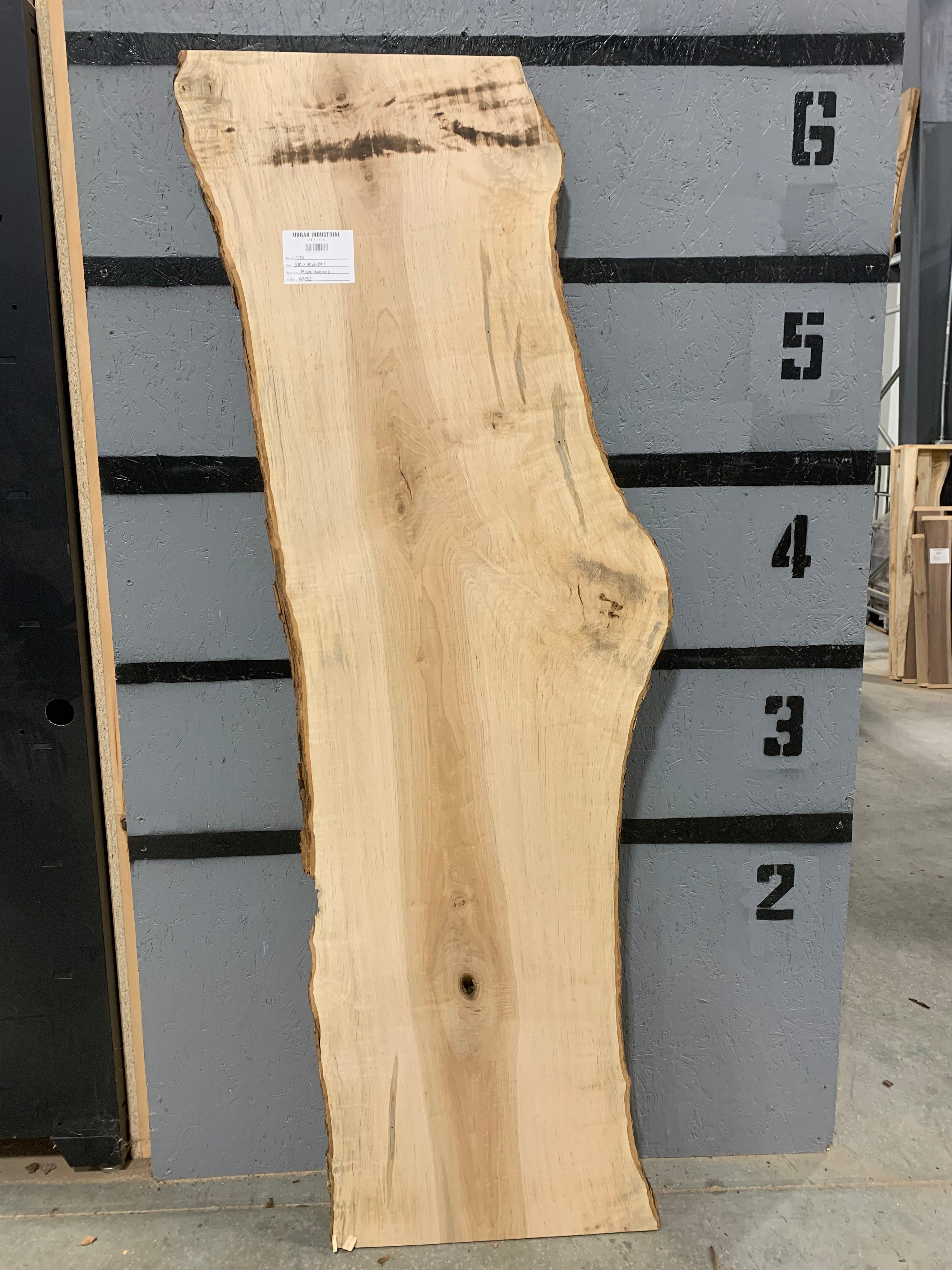 Maple Slab - Ambrosia | W452