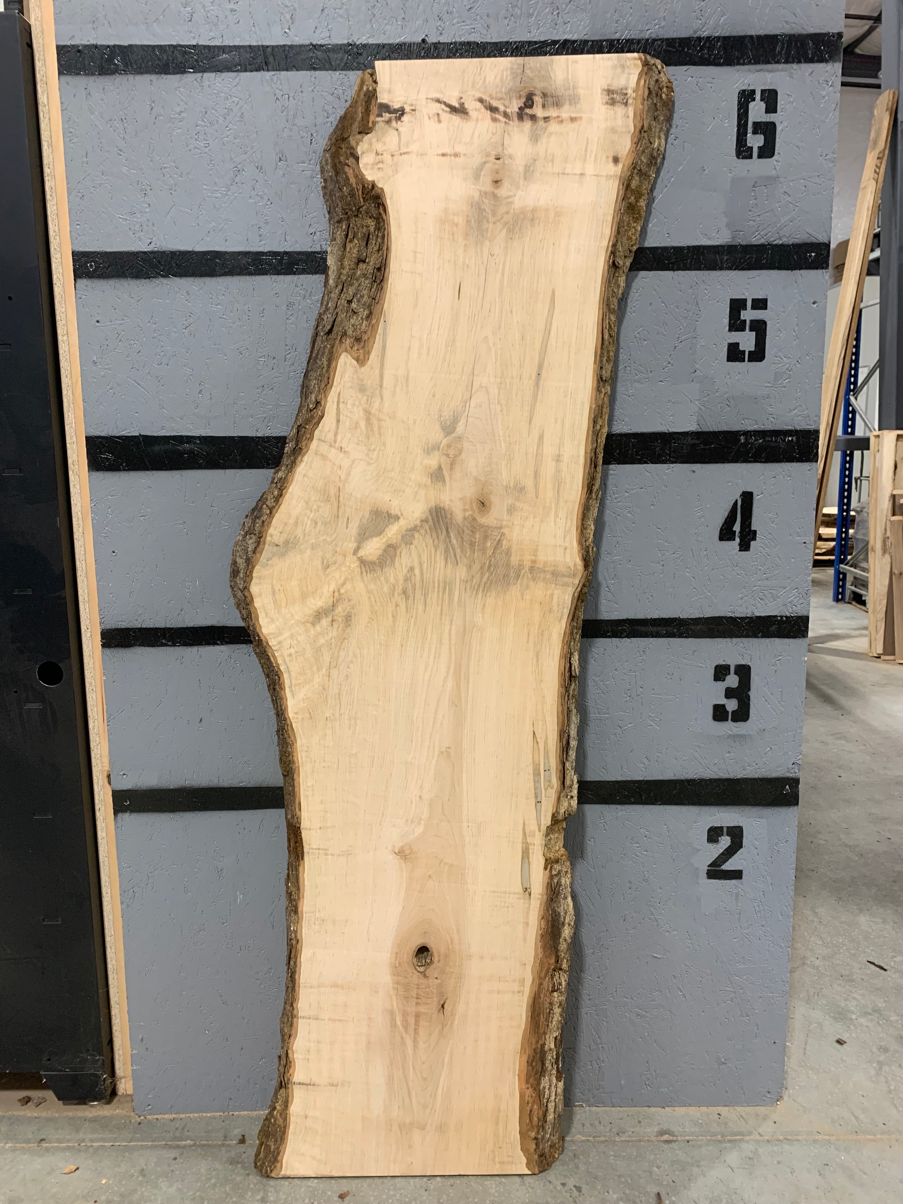 Maple Slab - Ambrosia | W452
