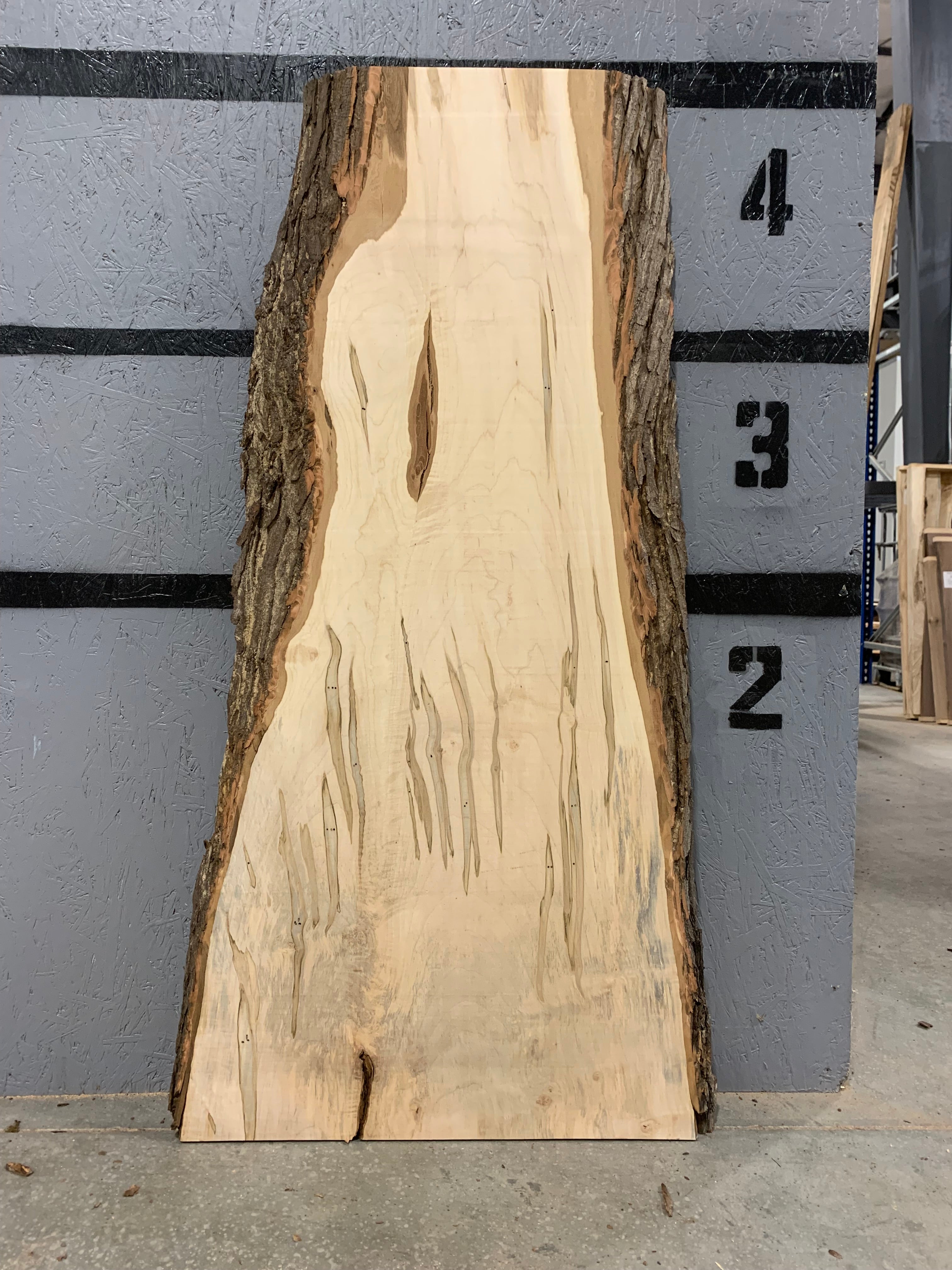 Maple Slab - Ambrosia | W448