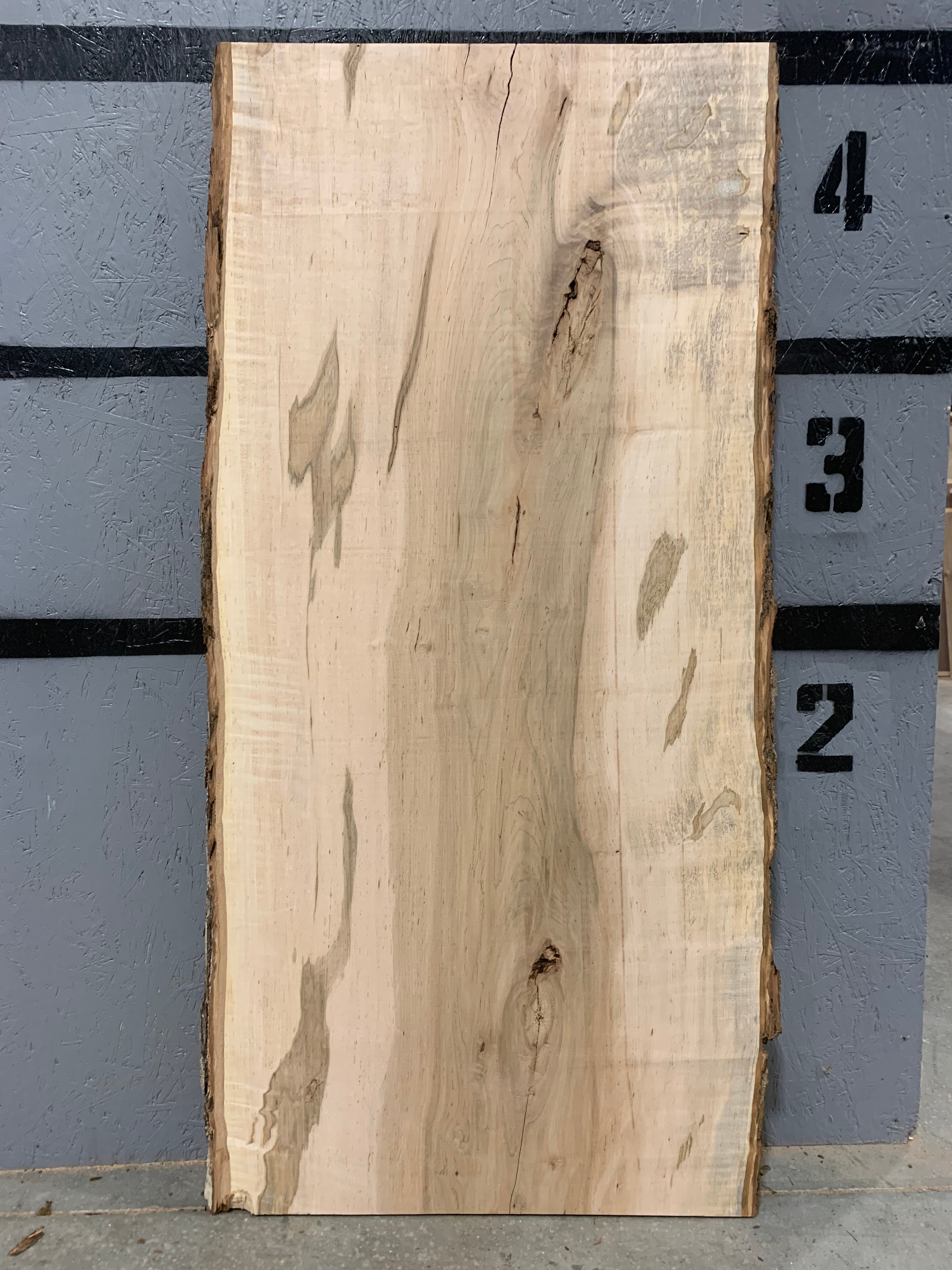 Maple Slab - Ambrosia | W445