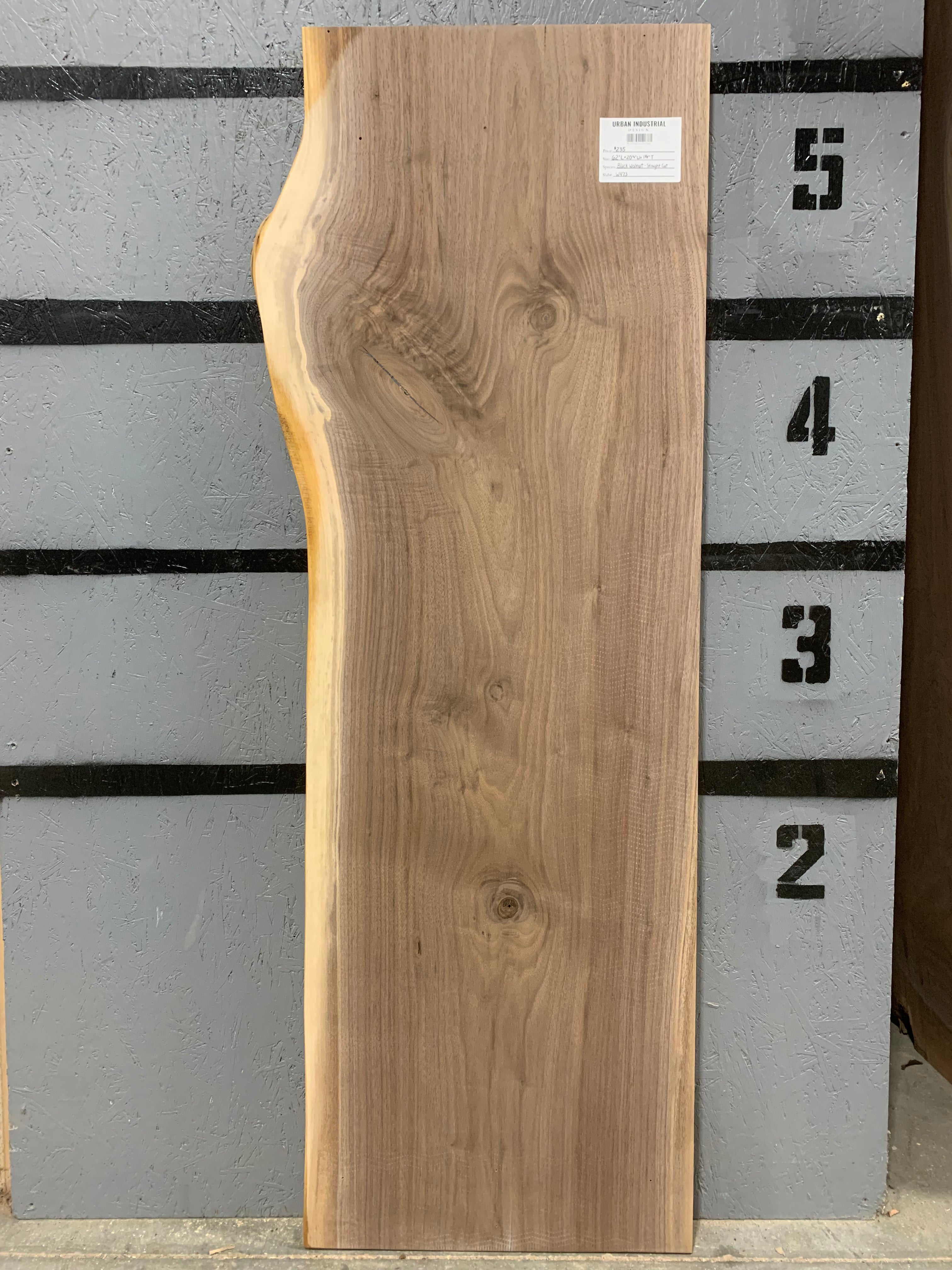 Black Walnut Slab | W473