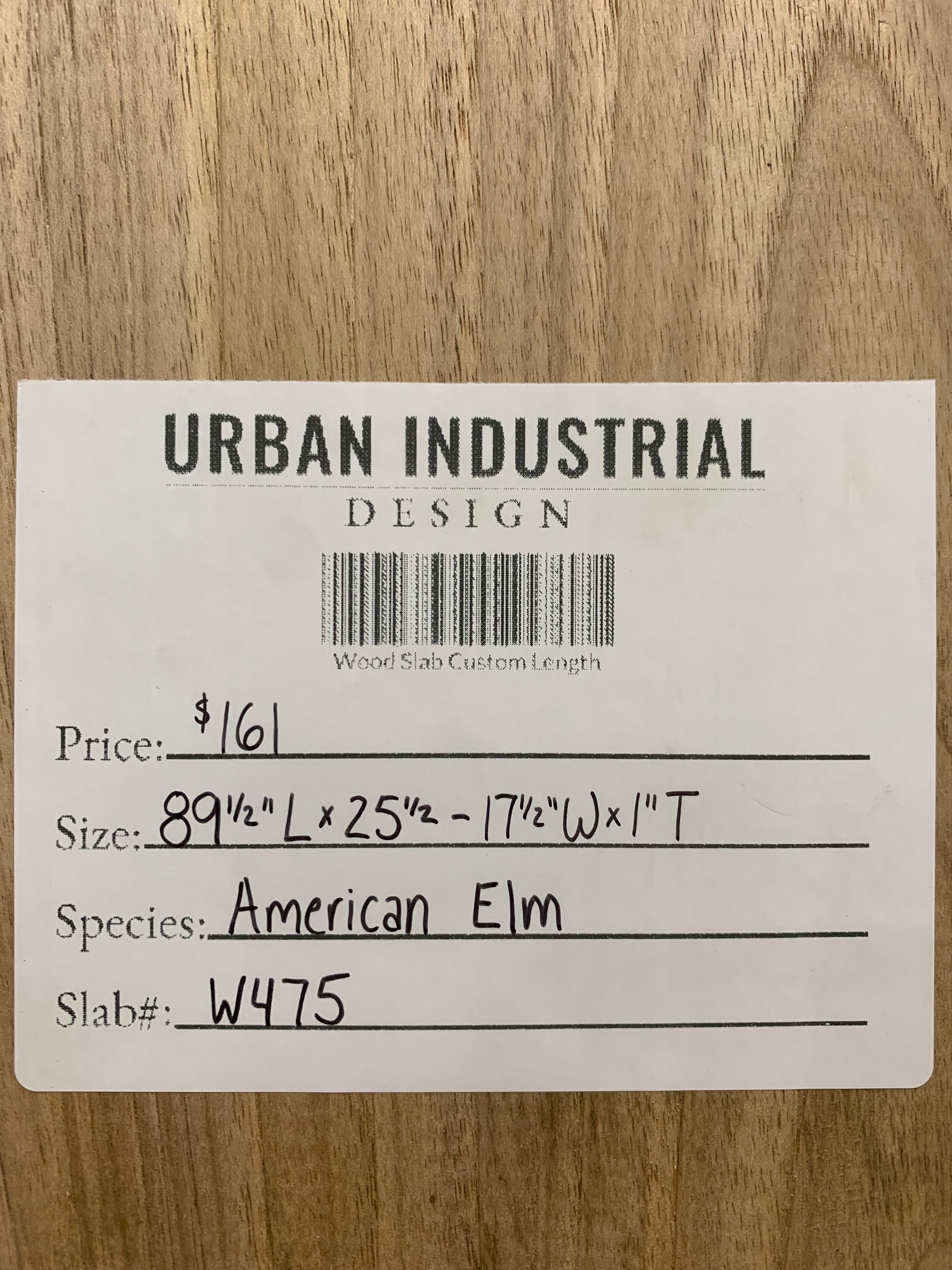 American Elm Slab | W475