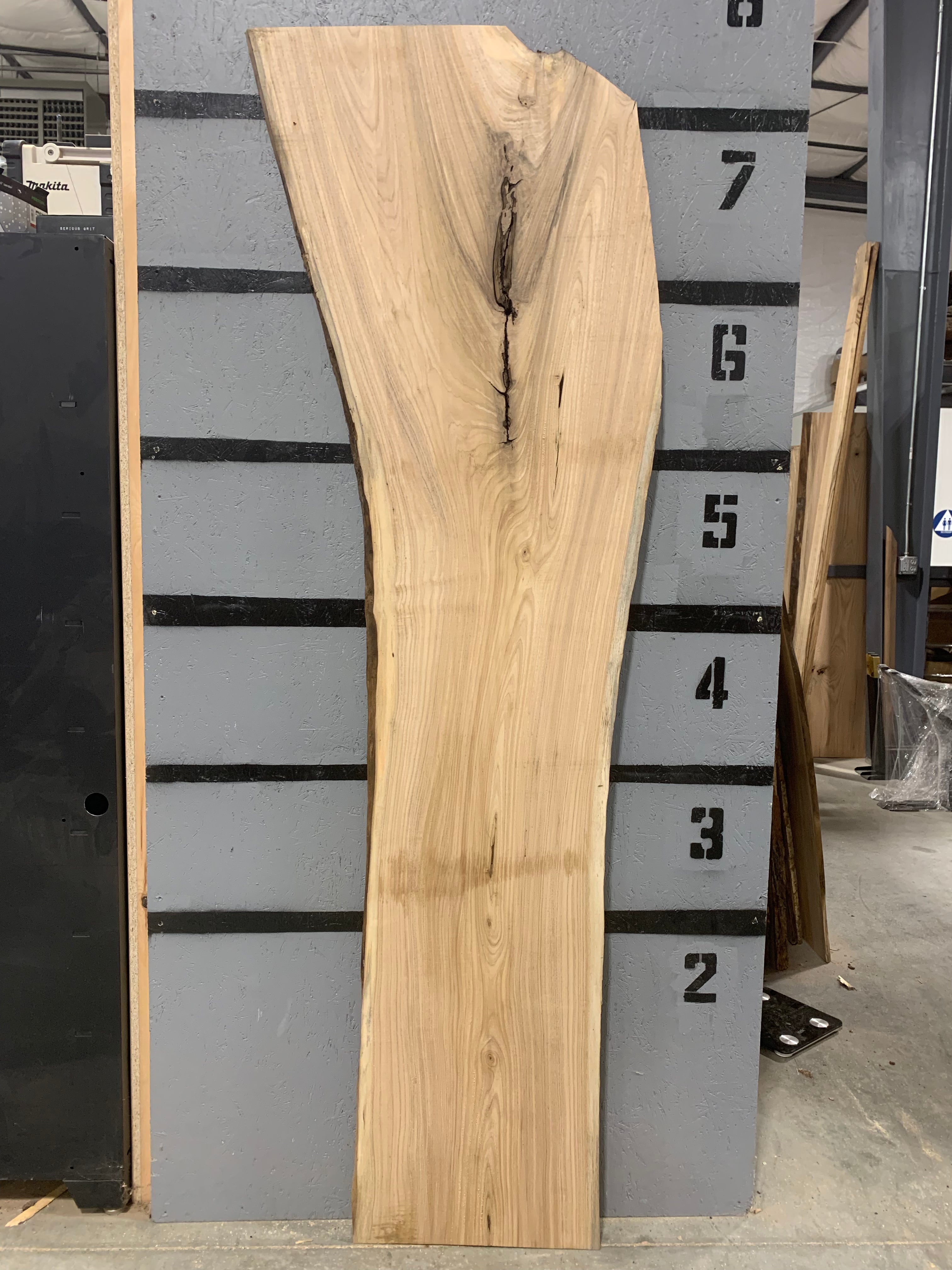 American Elm Slab | W475