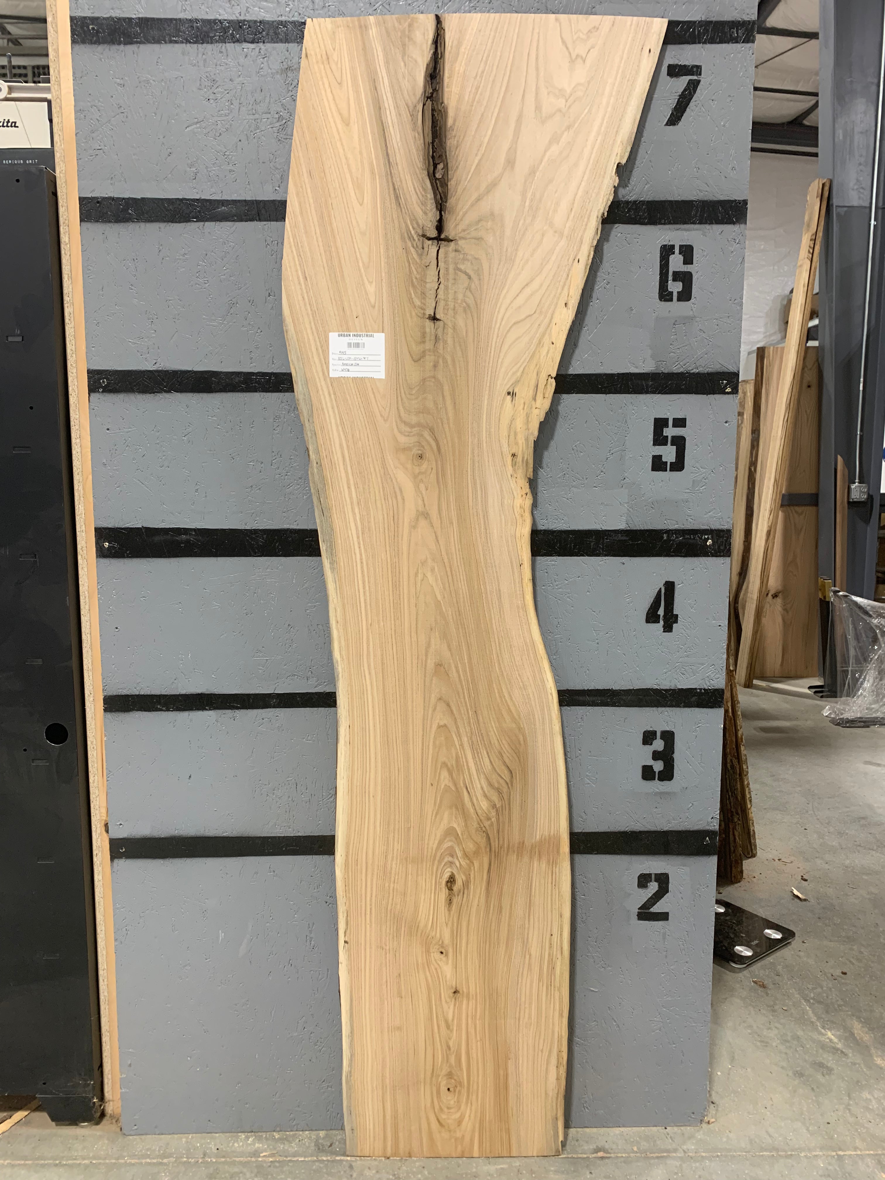 American Elm Slab | W476