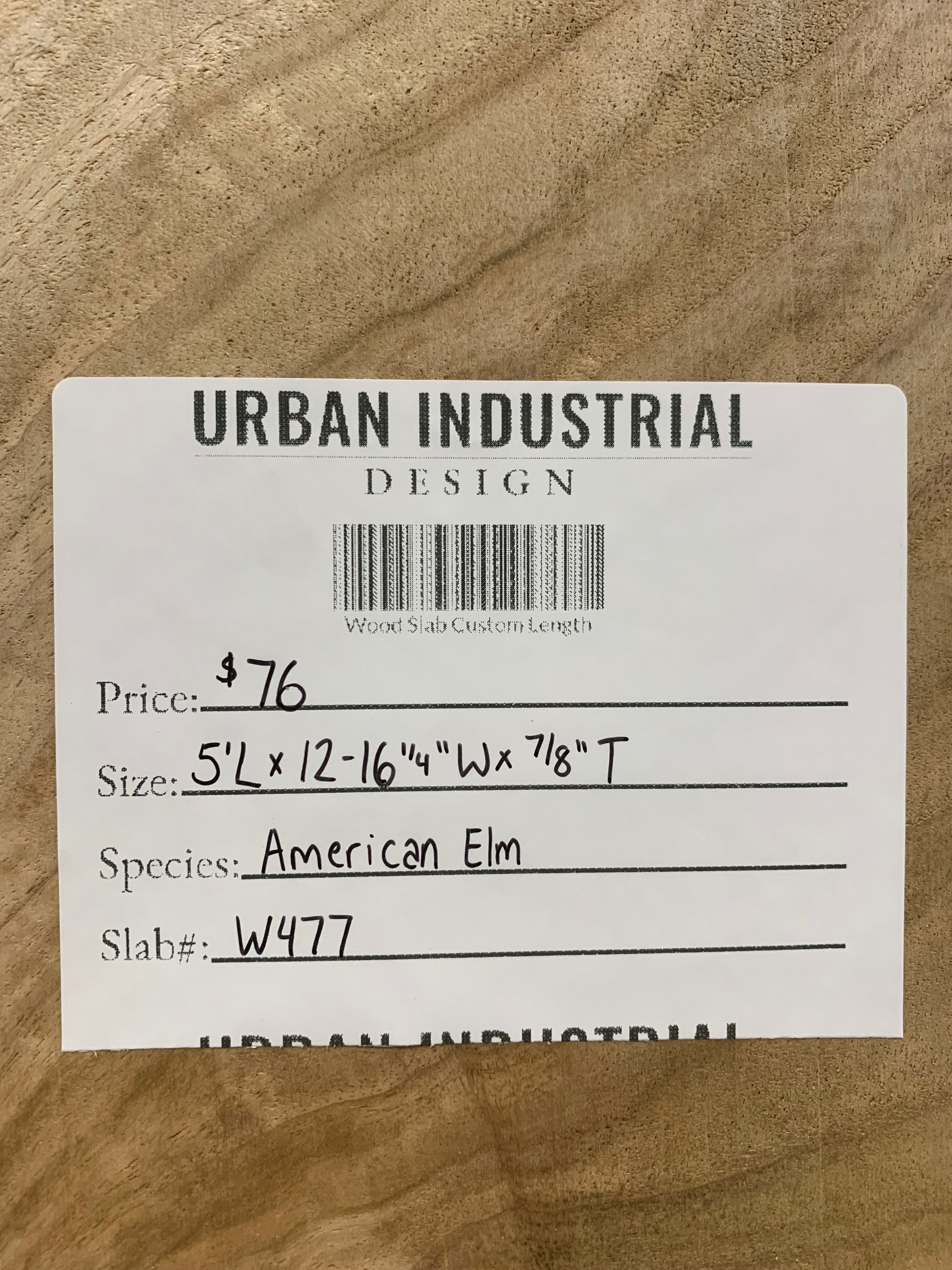 American Elm Slab | W477