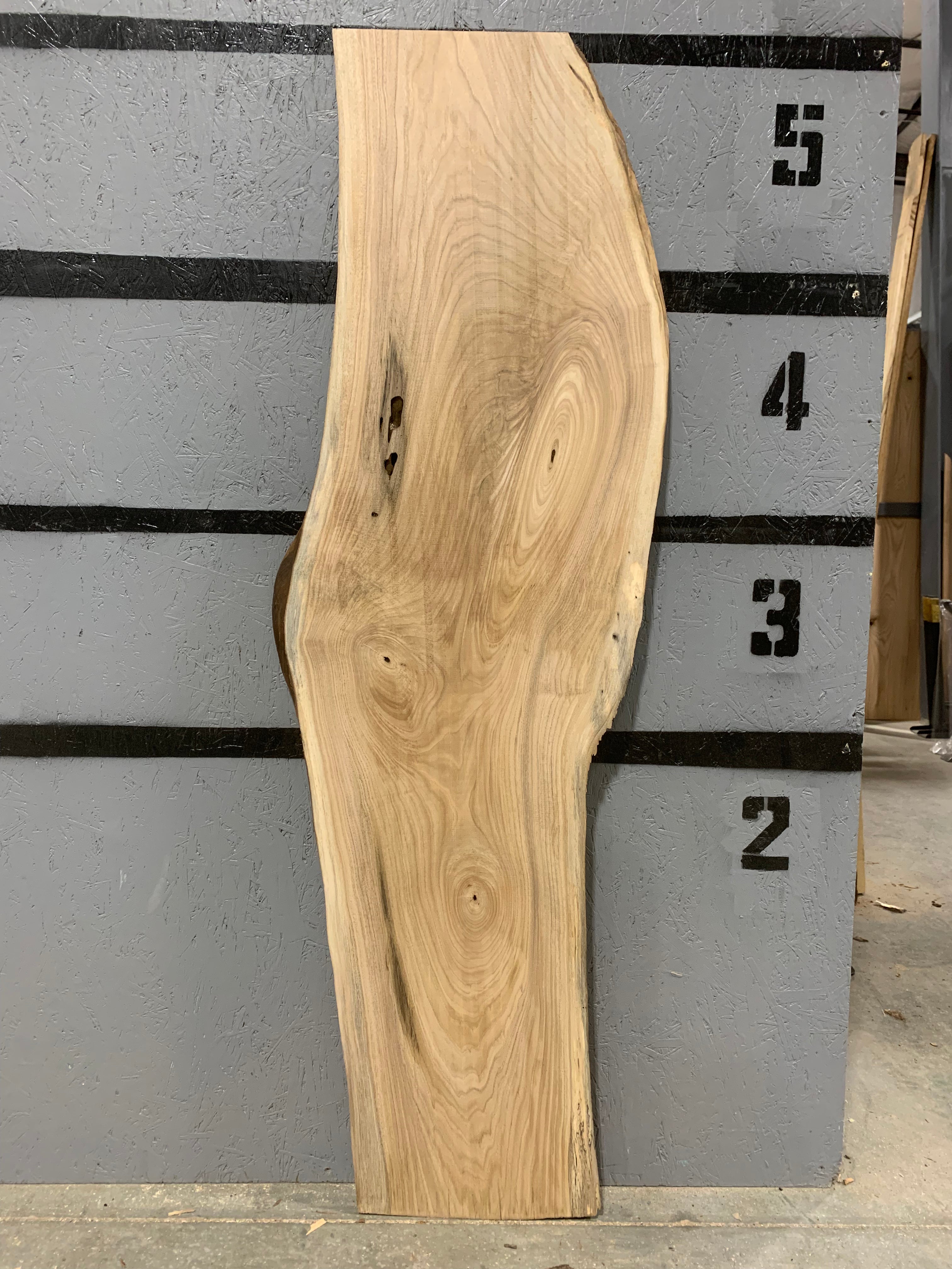 American Elm Slab | W477