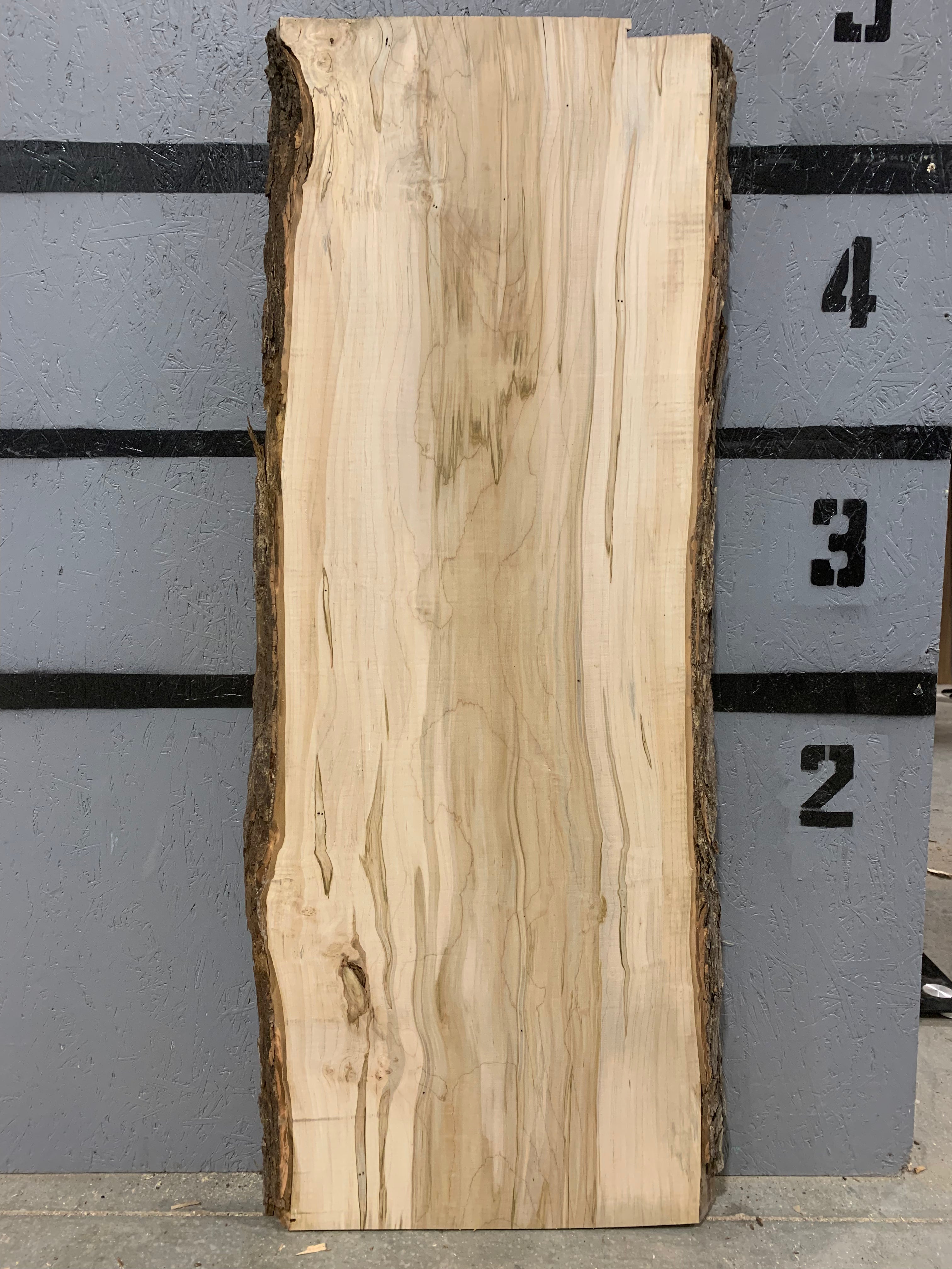 Maple Slab - Ambrosia | W481
