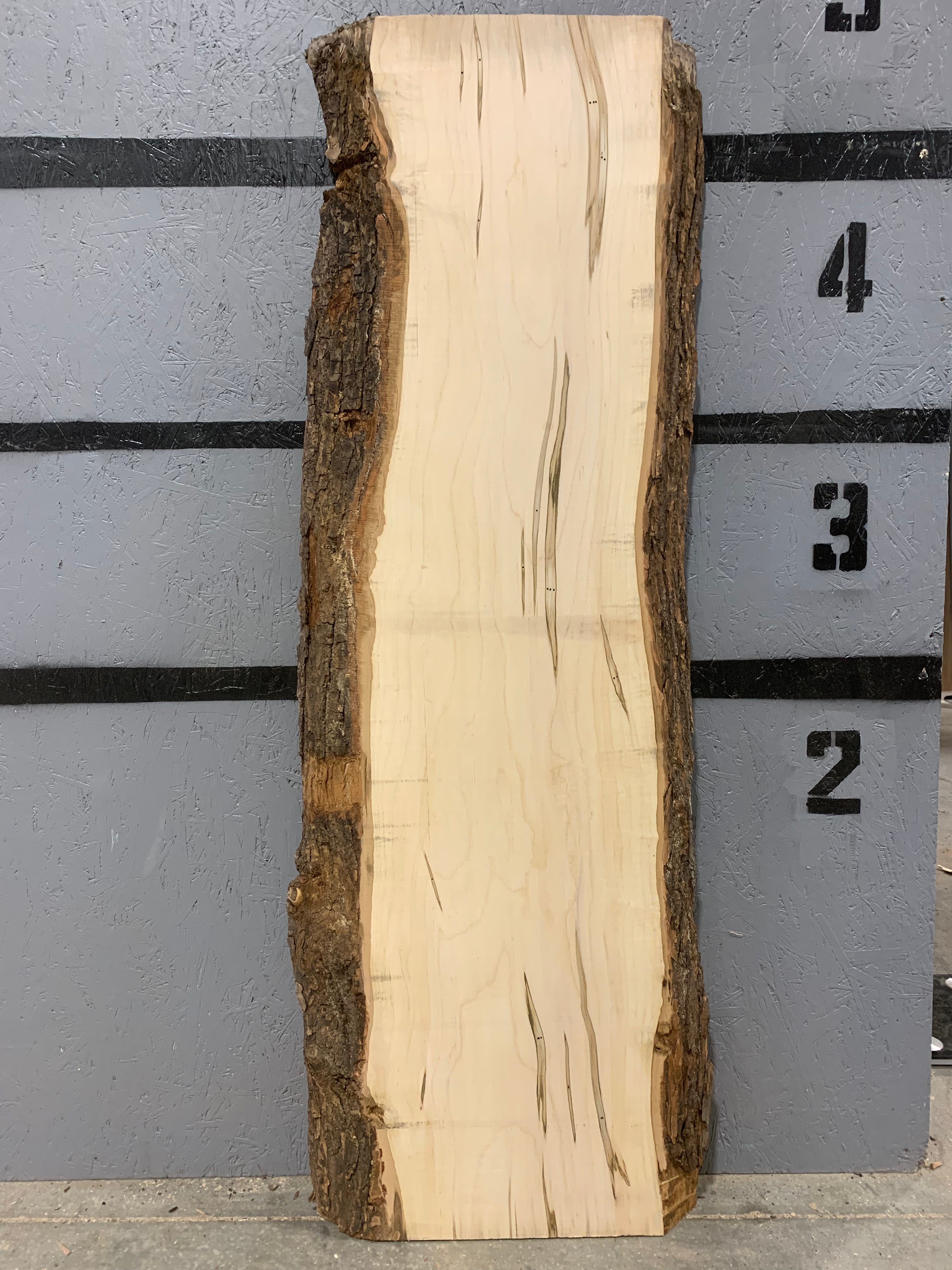 Maple Slab - Ambrosia | W484