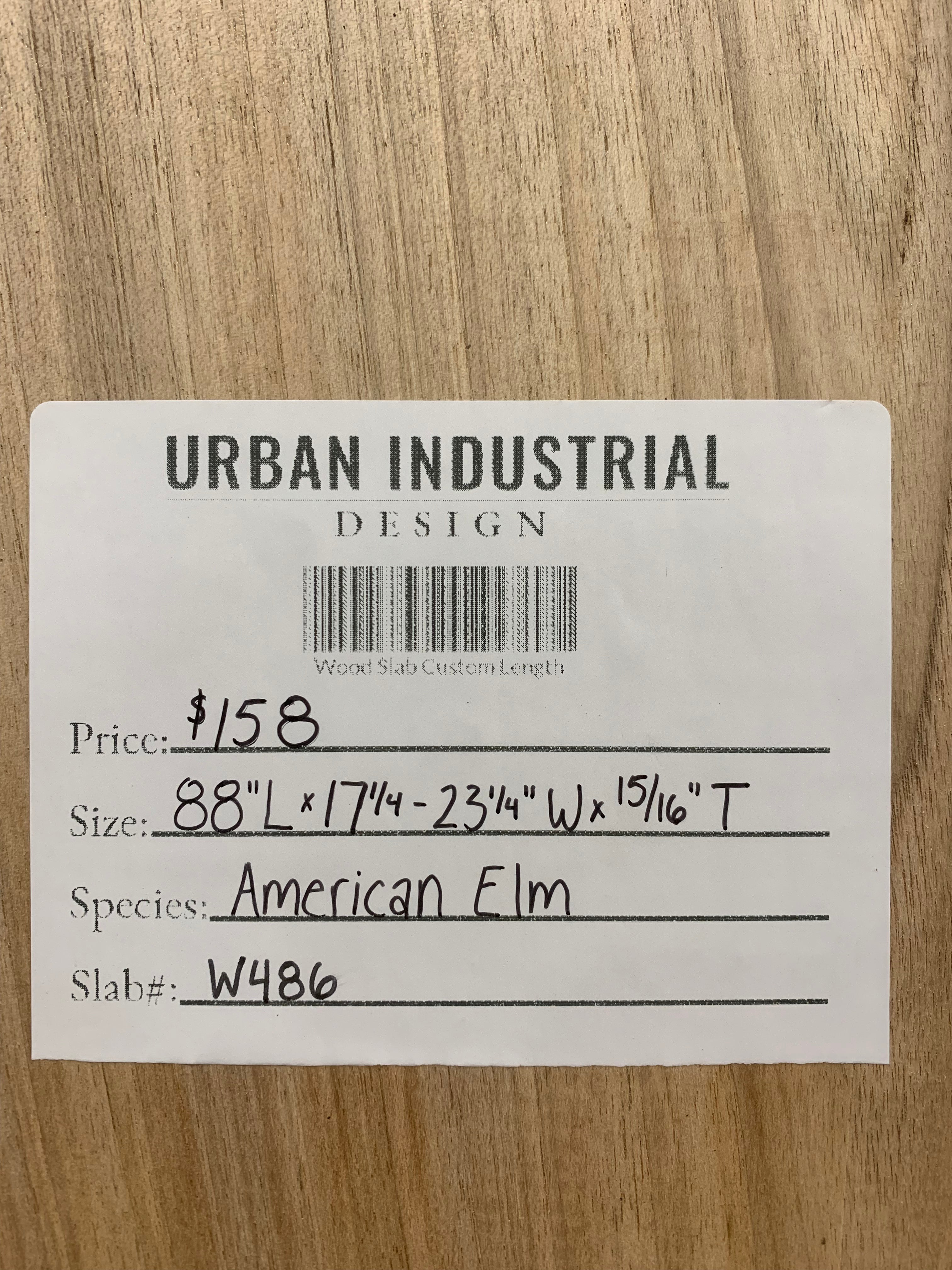 American Elm Slab | W486