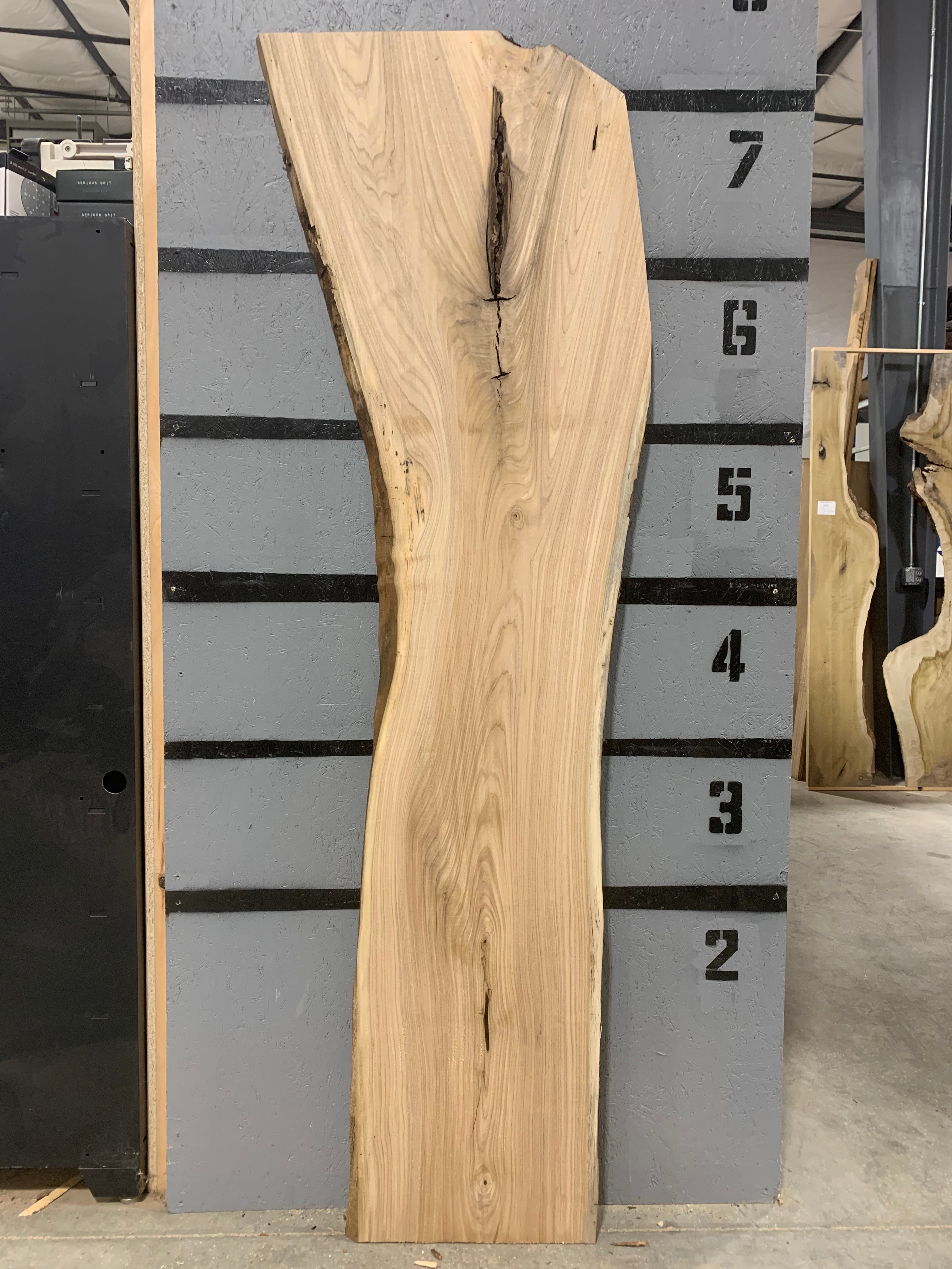 American Elm Slab | W486