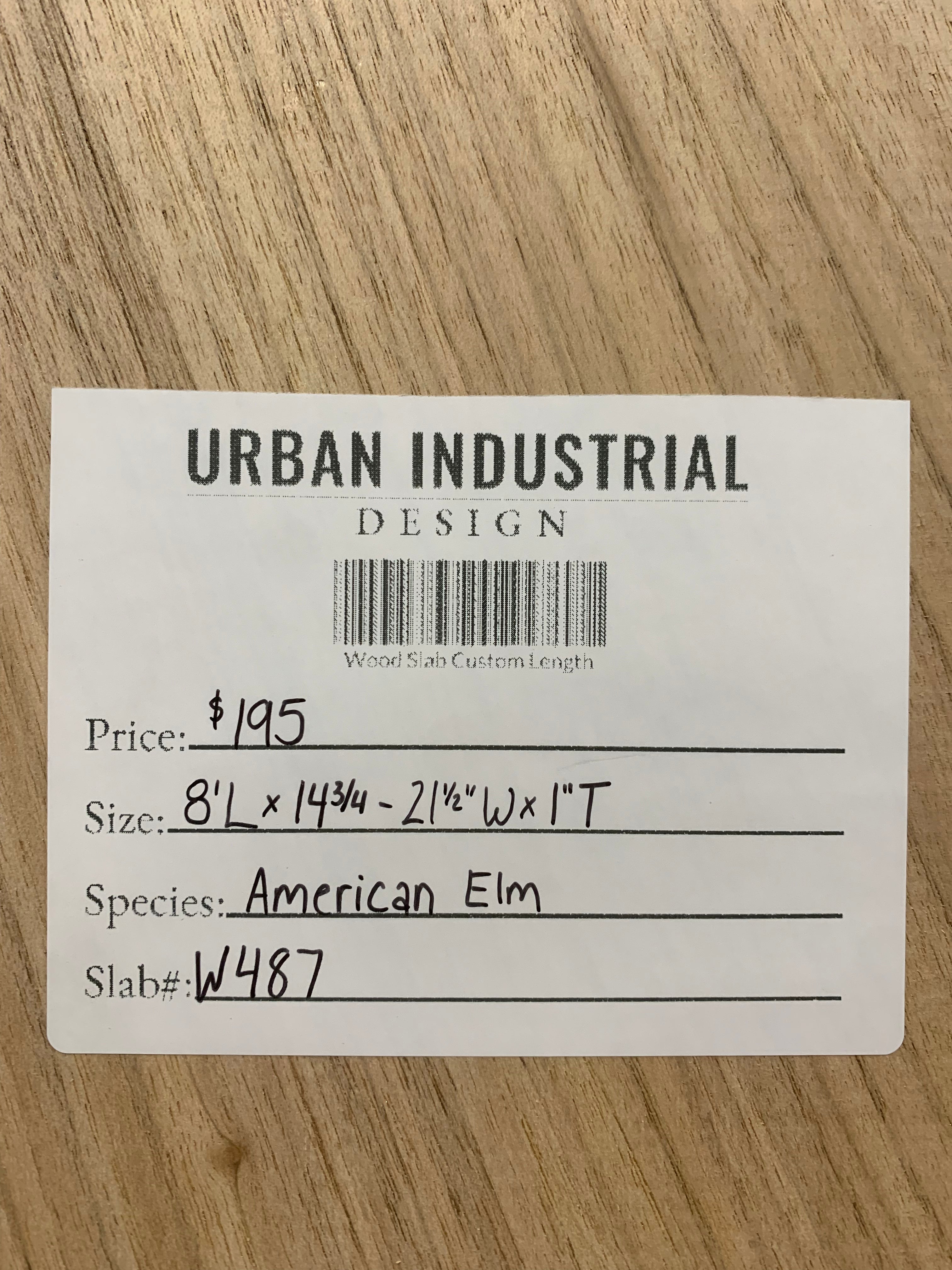 American Elm Slab | W487