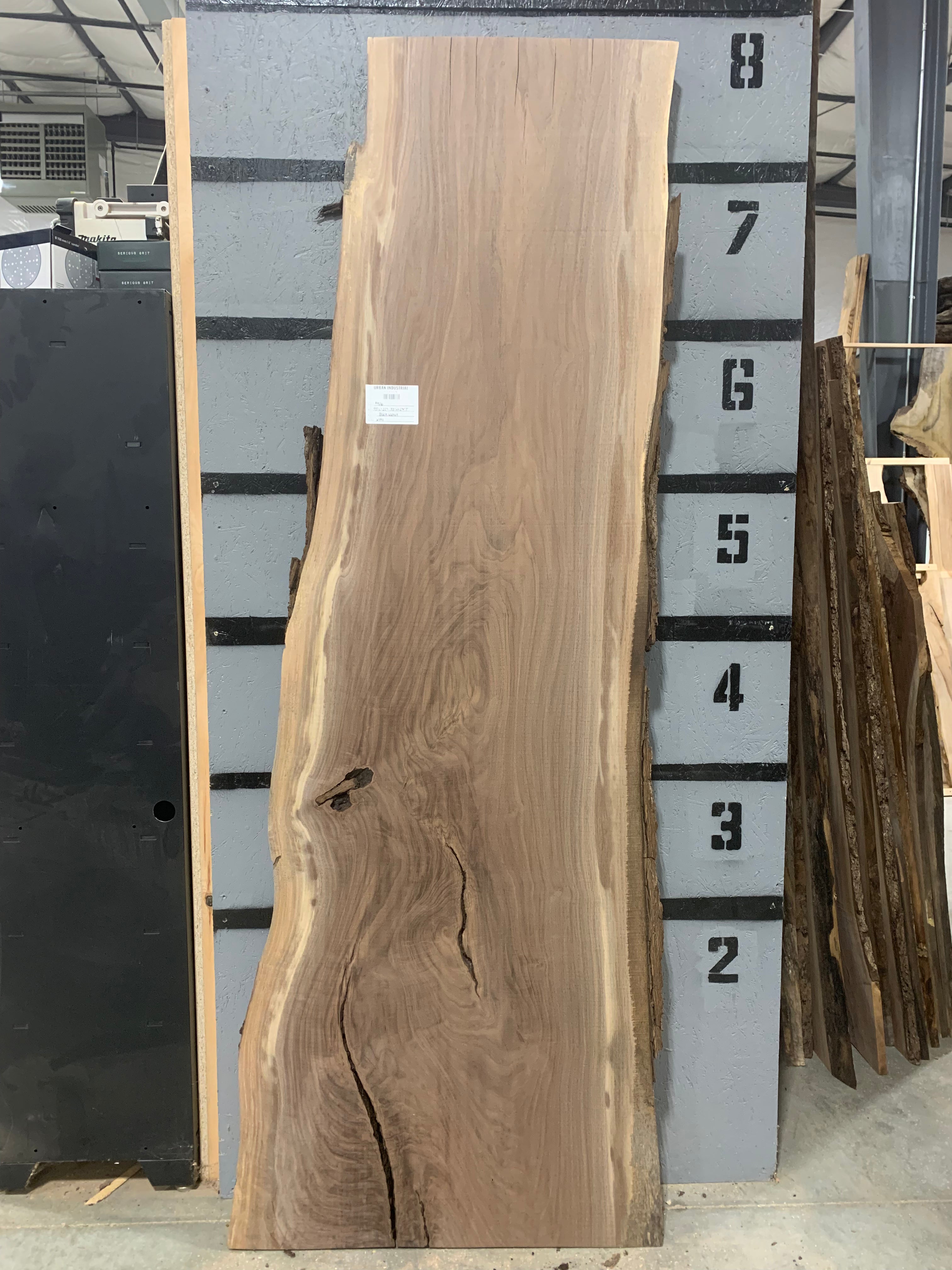 Black Walnut Slab | W490