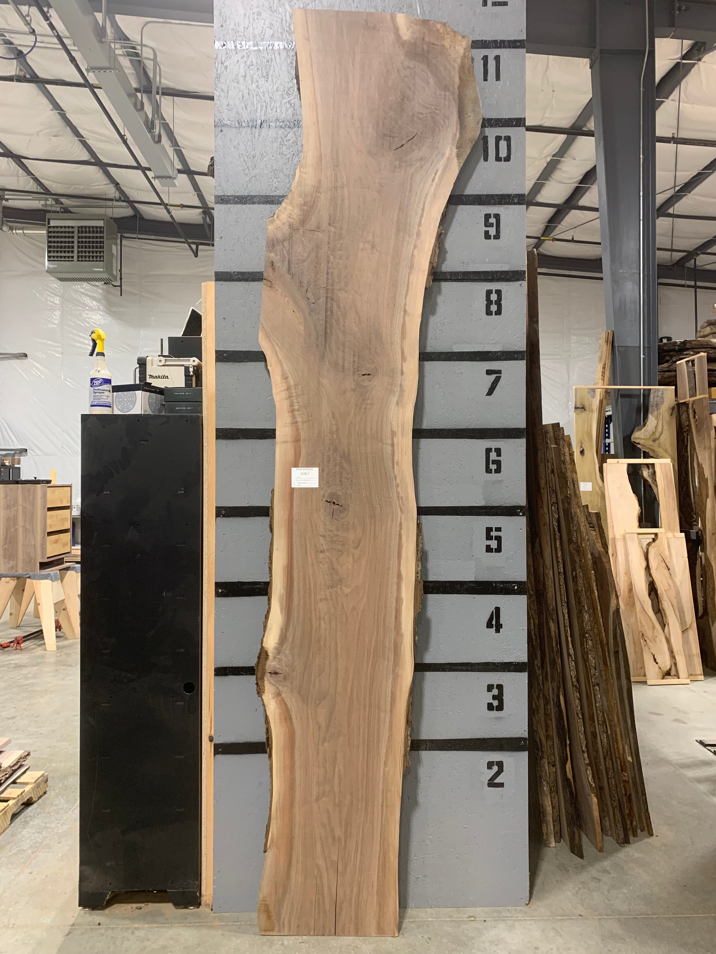 Black Walnut Slab | W492