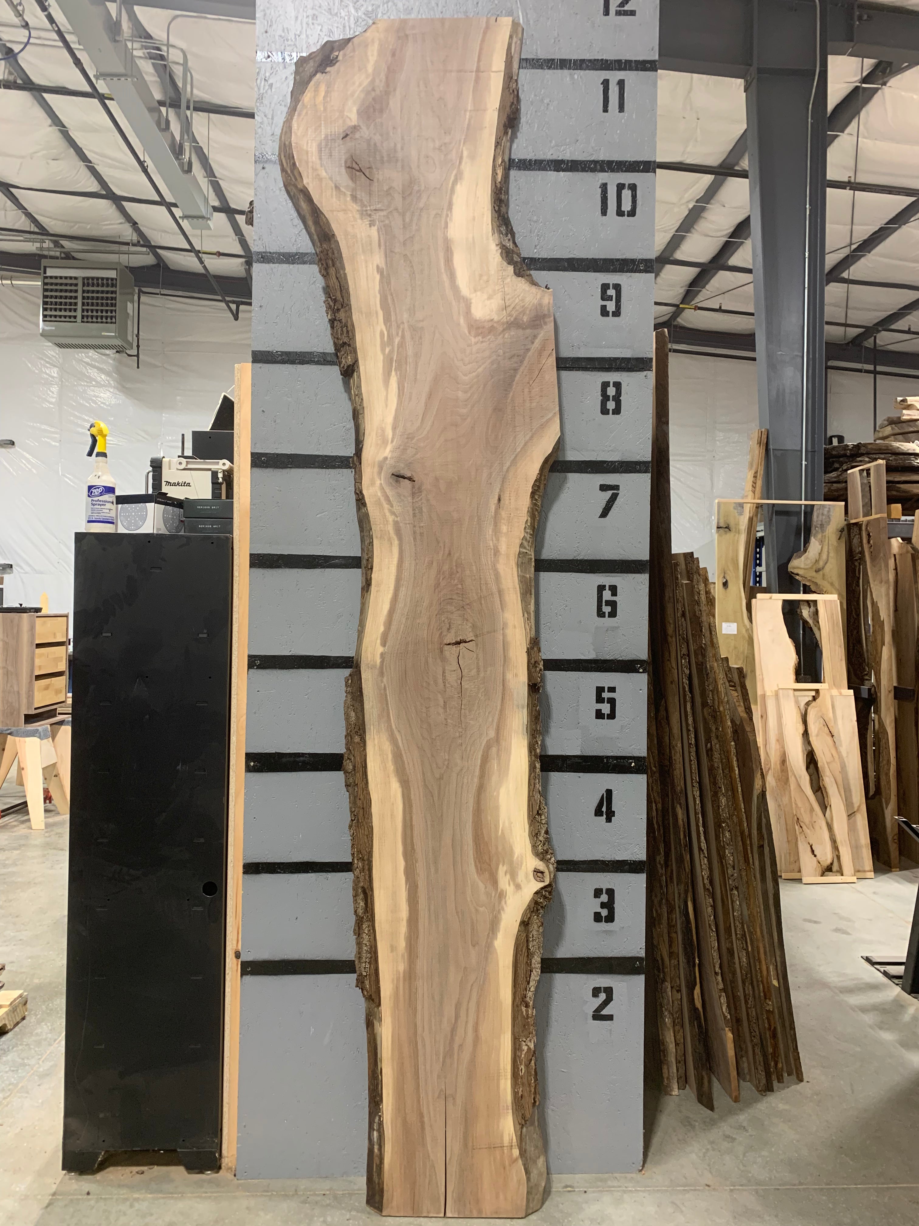 Black Walnut Slab | W492