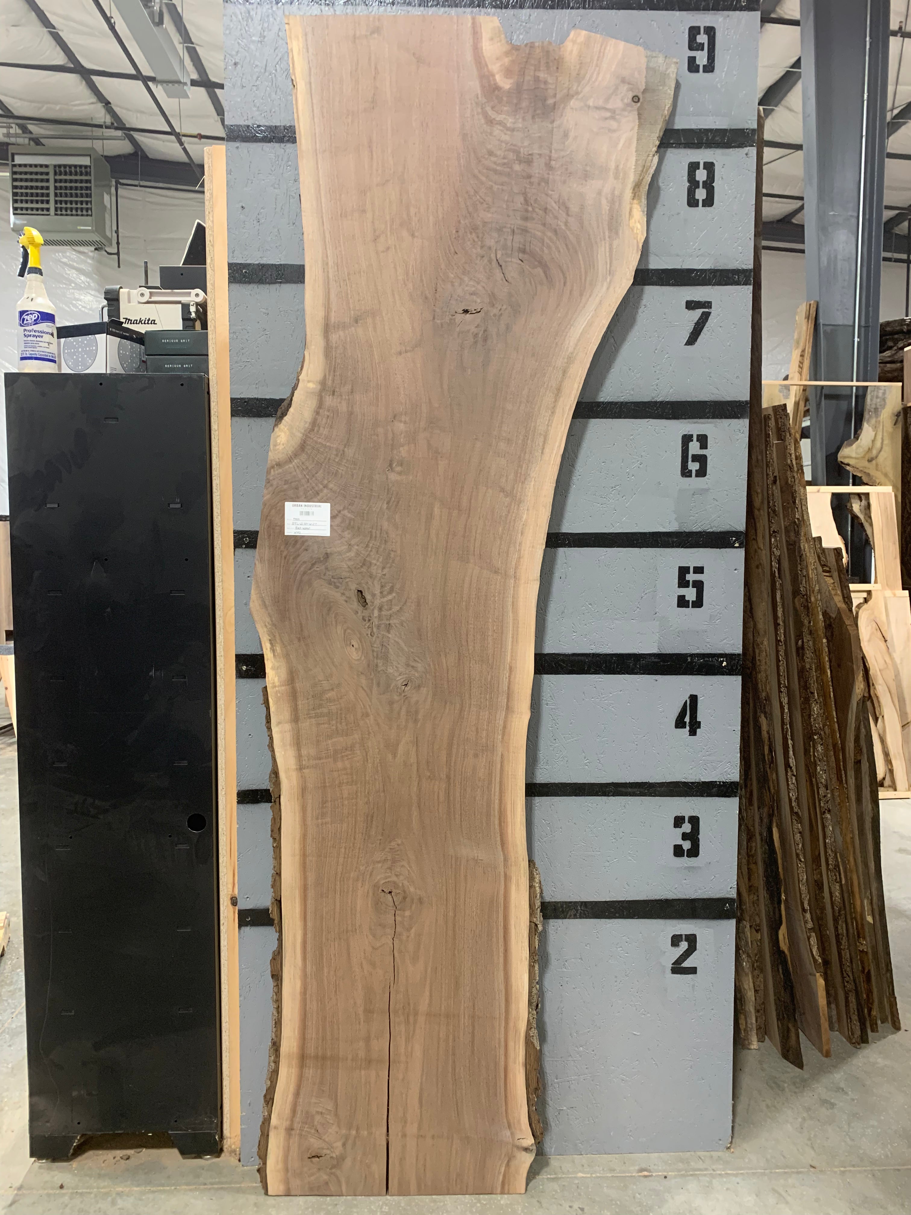 Black Walnut Slab | W493