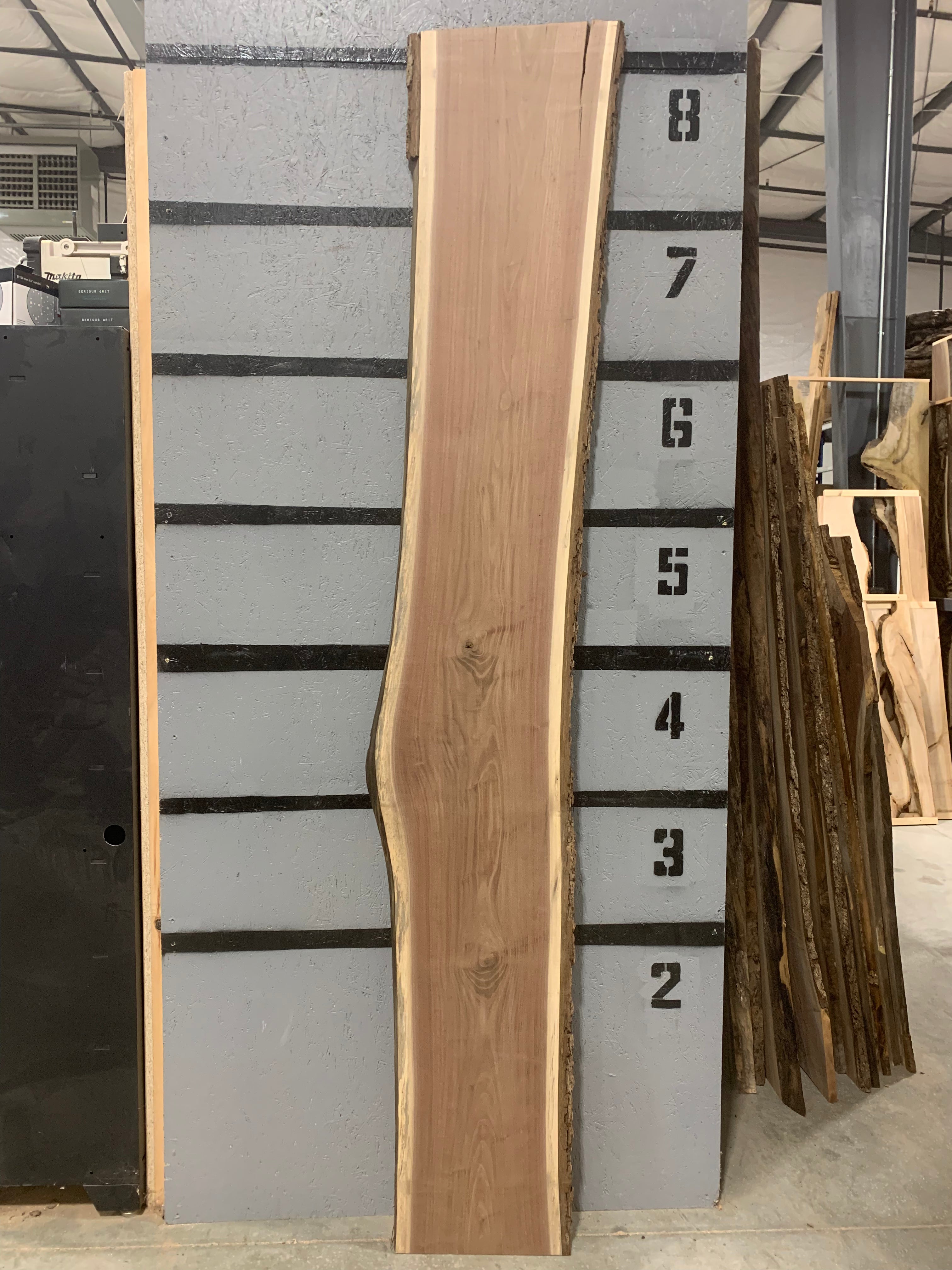 Black Walnut Slab | W494