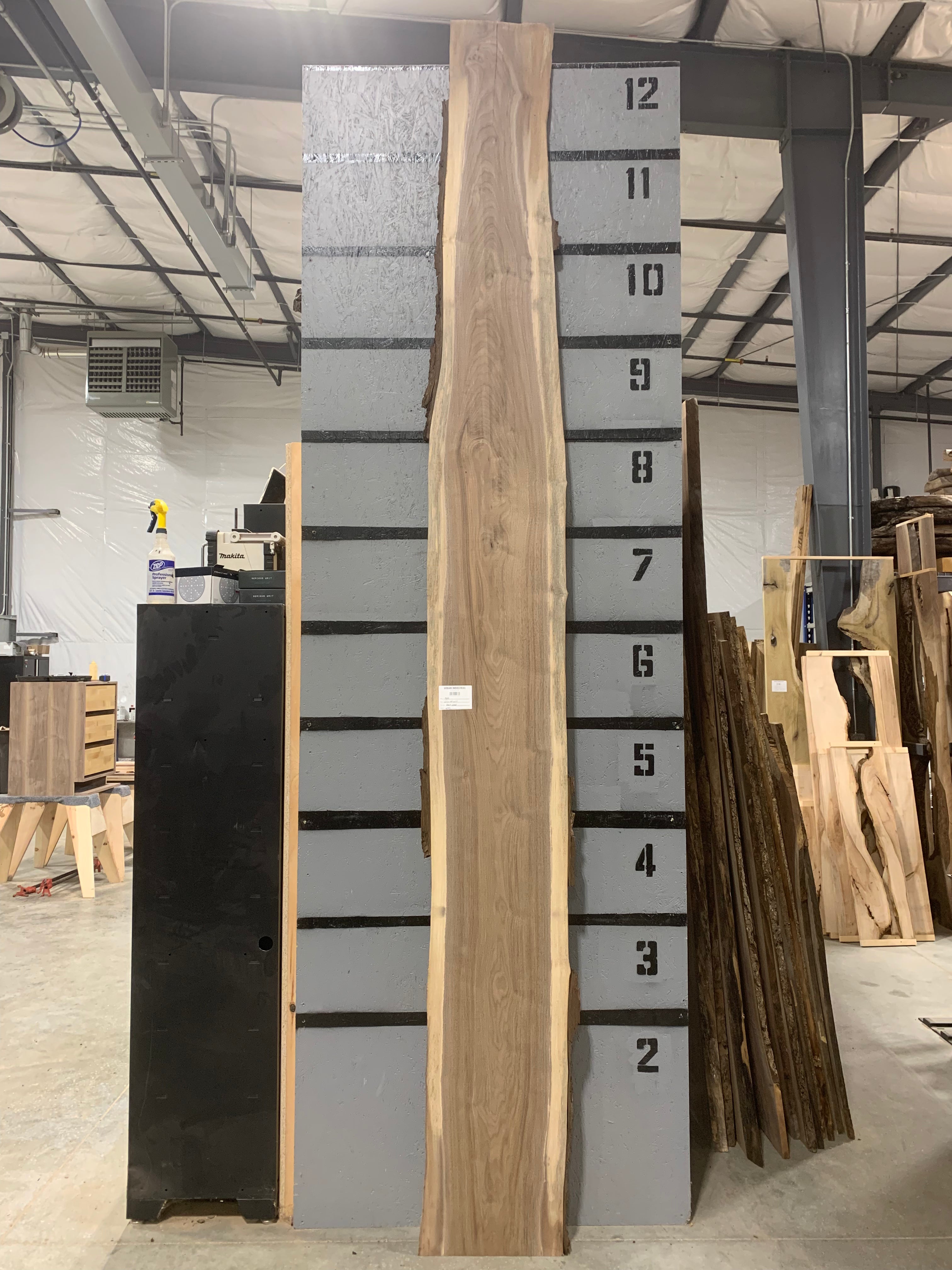 Black Walnut Slab | W495