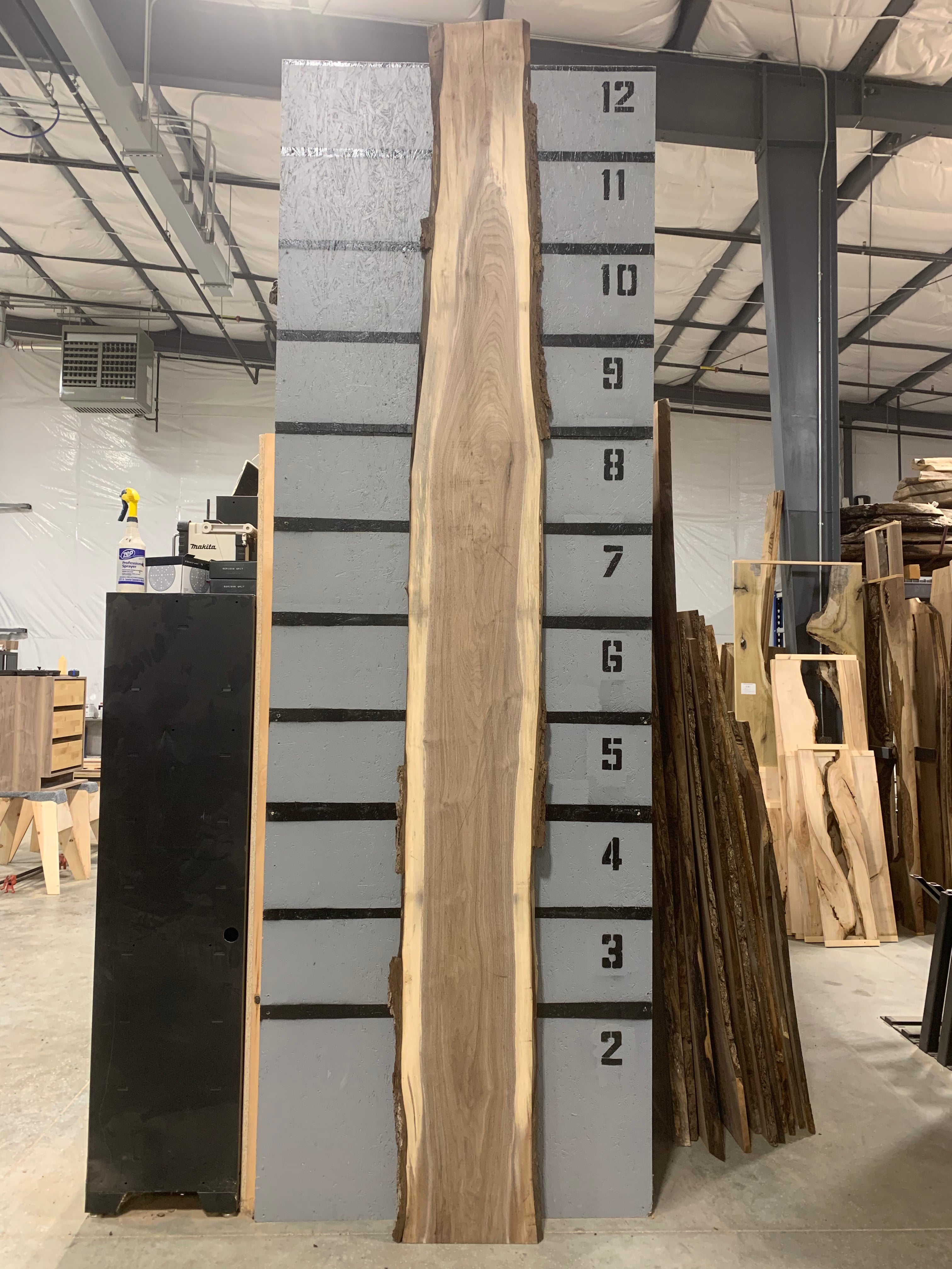 Black Walnut Slab | W495