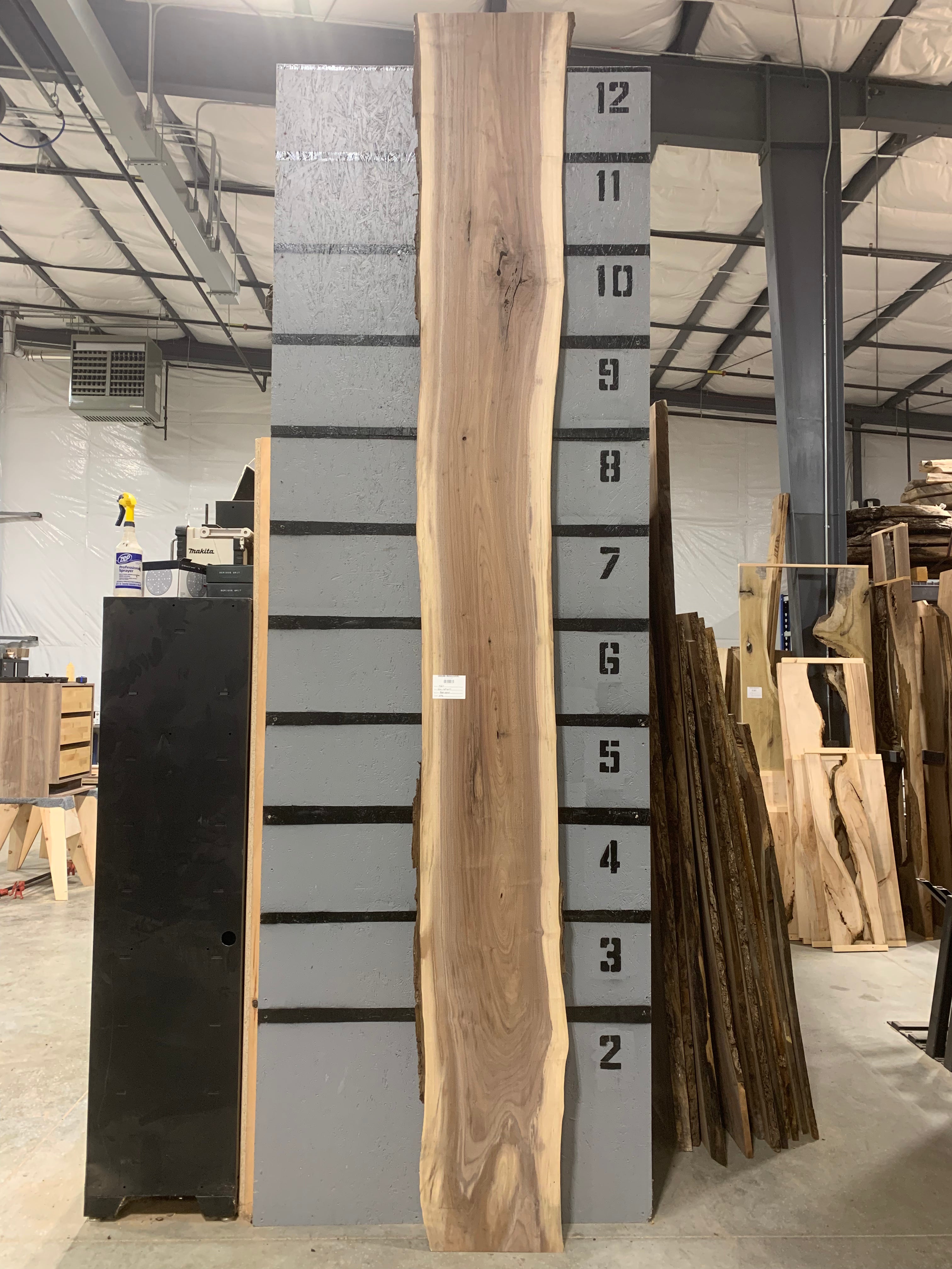 Black Walnut Slab | W496