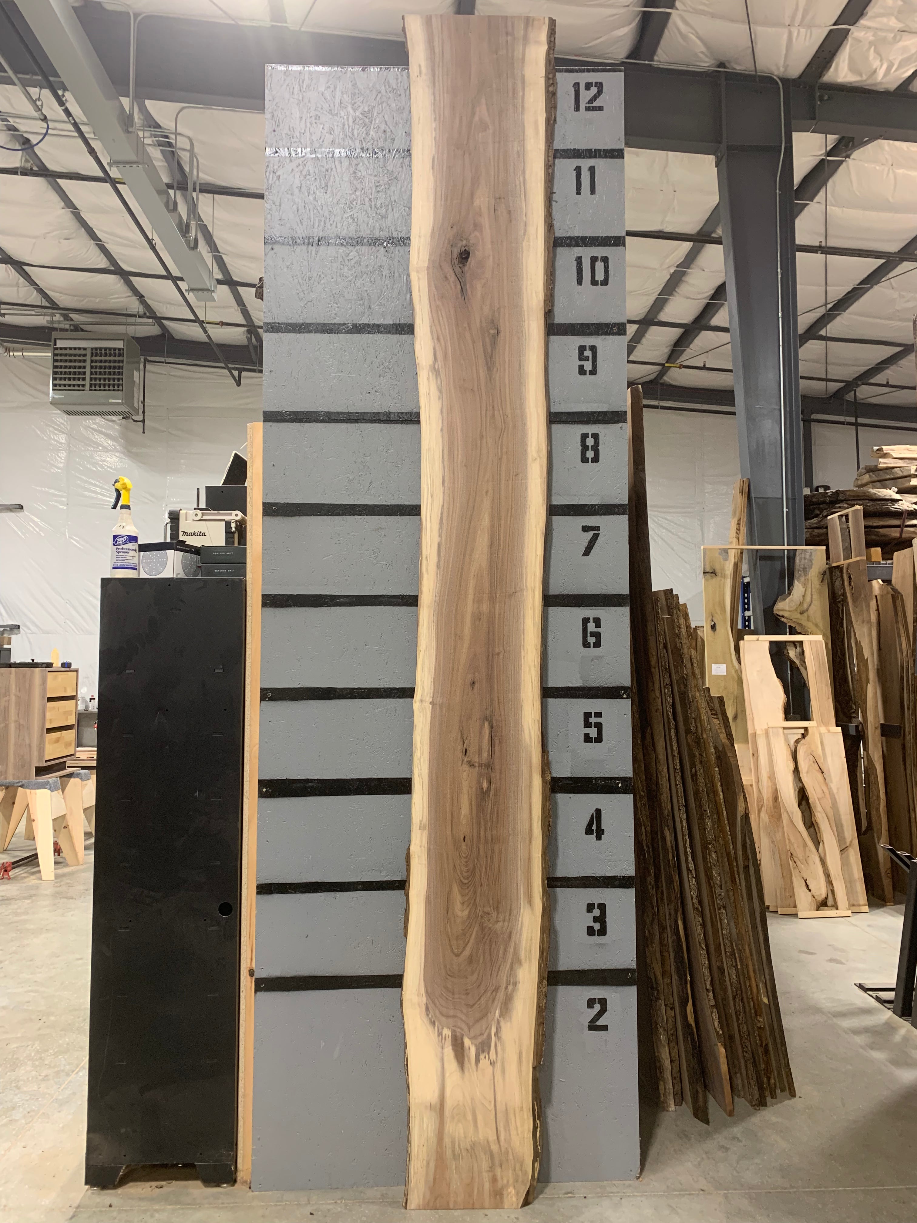 Black Walnut Slab | W496