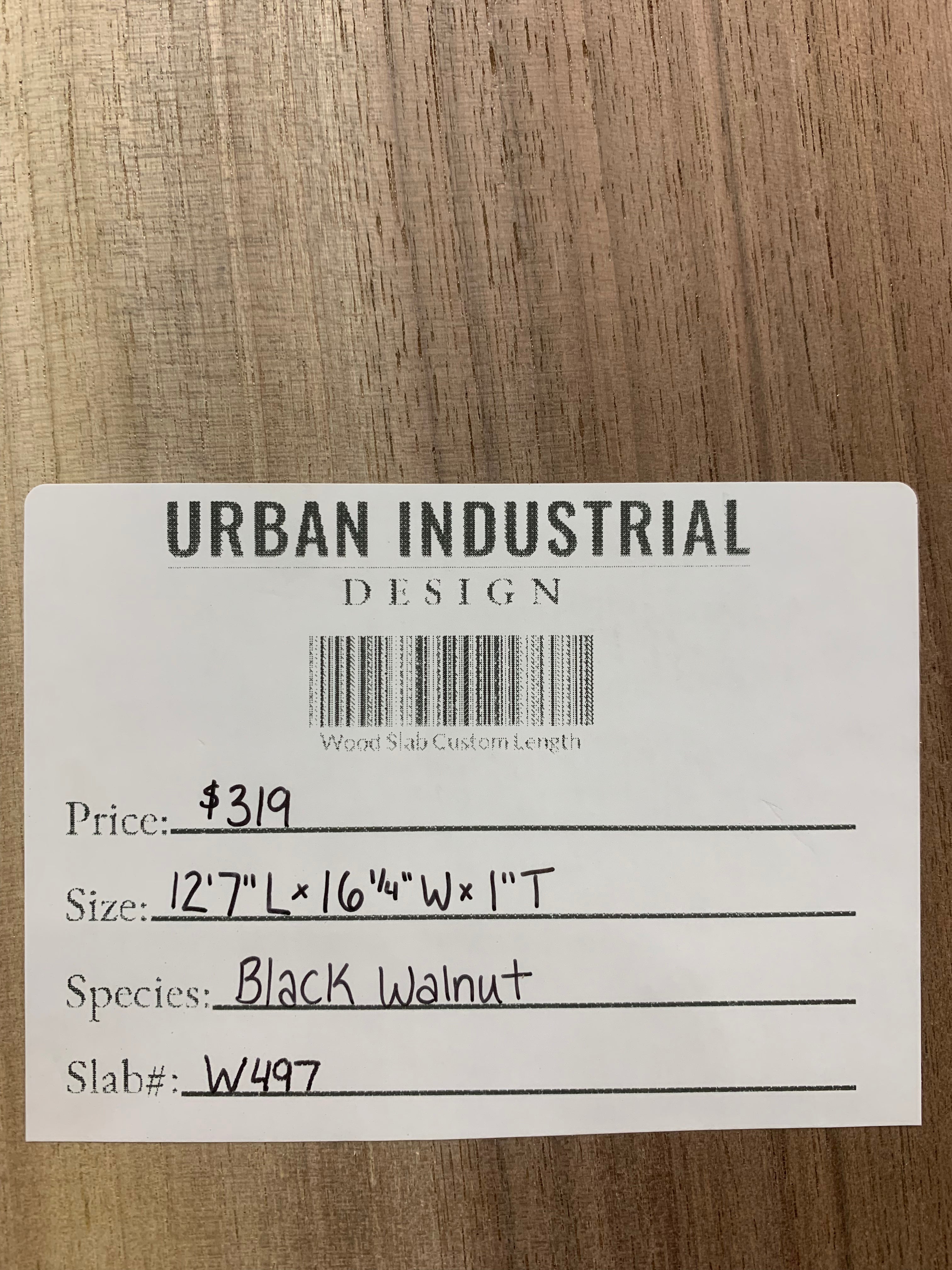 Black Walnut Slab | W497
