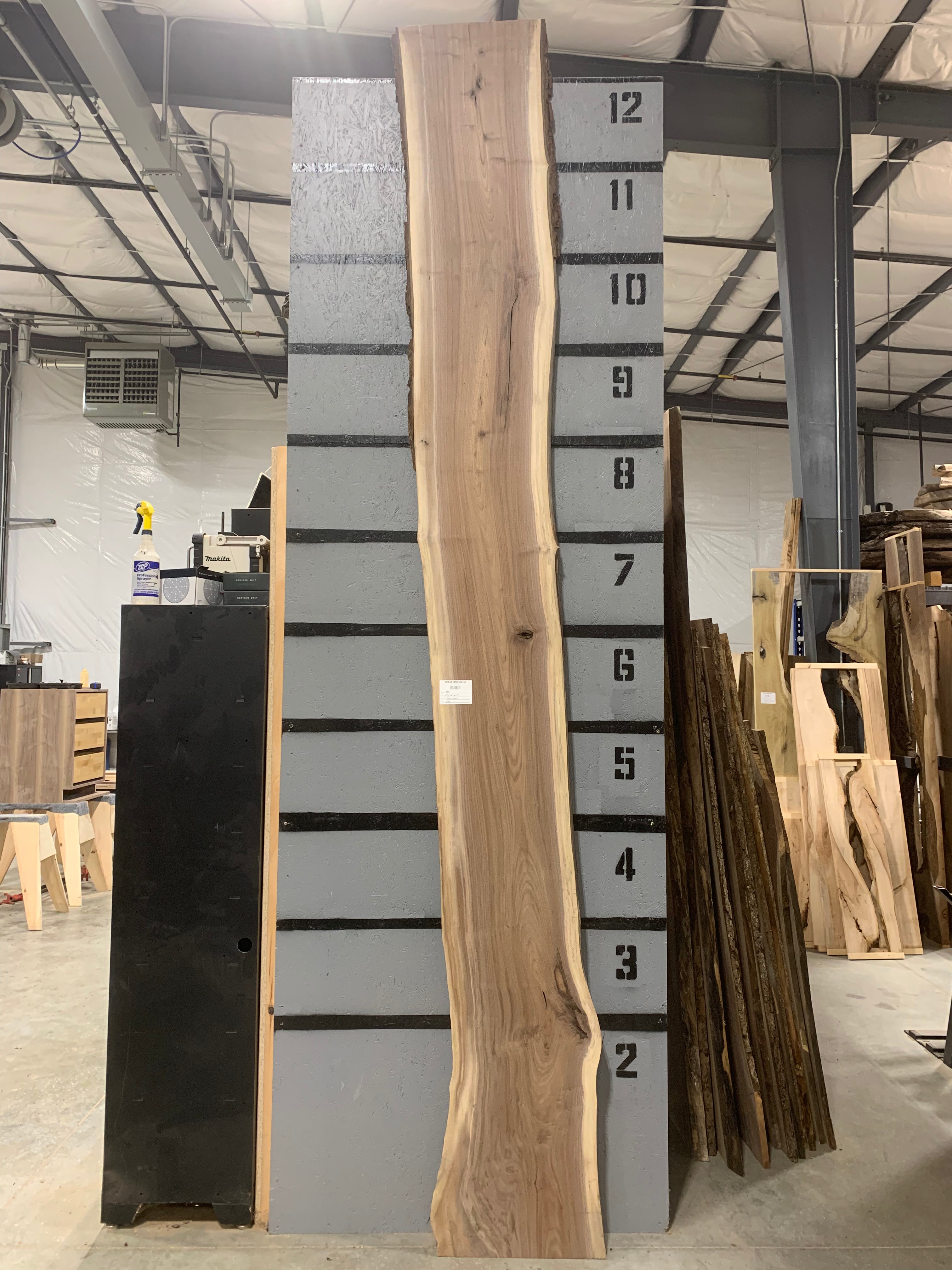 Black Walnut Slab | W497