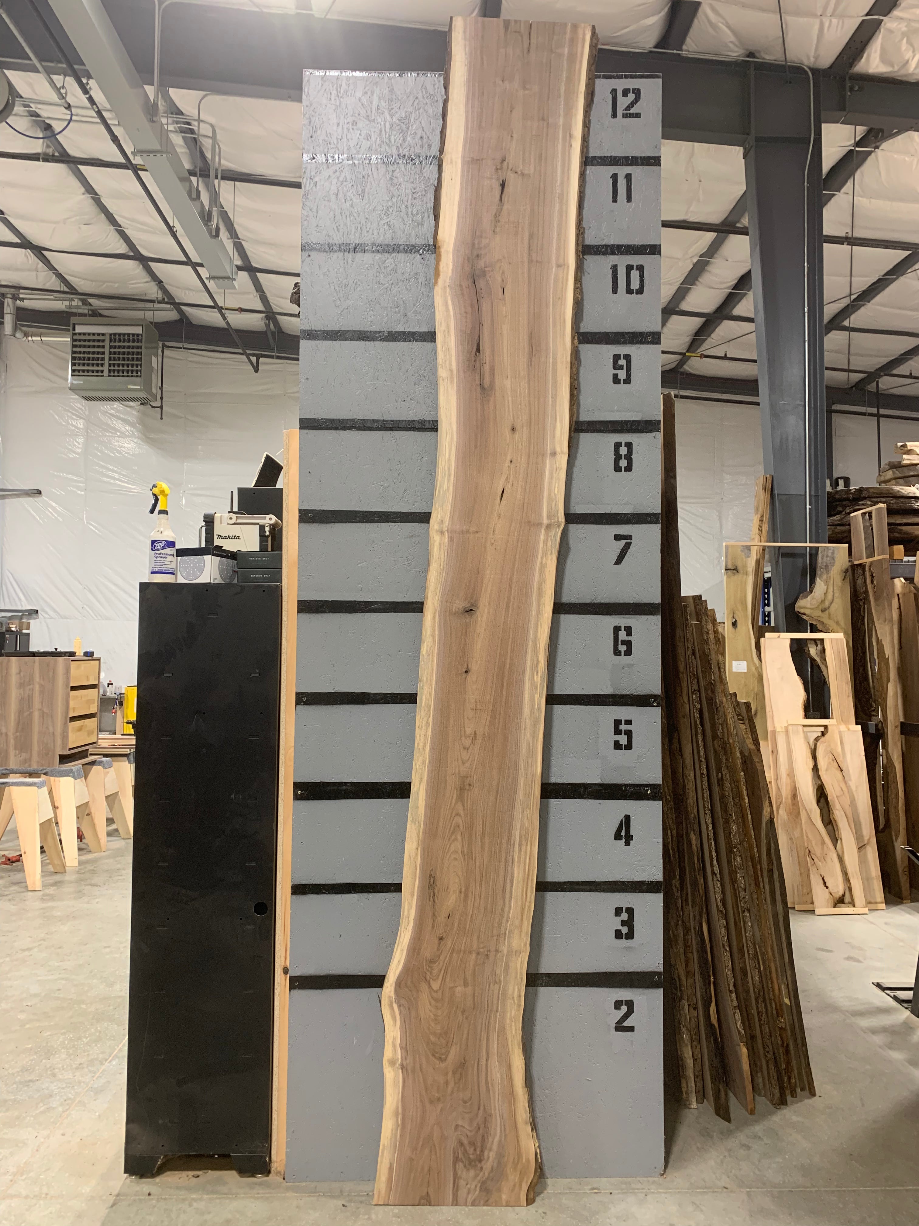 Black Walnut Slab | W497