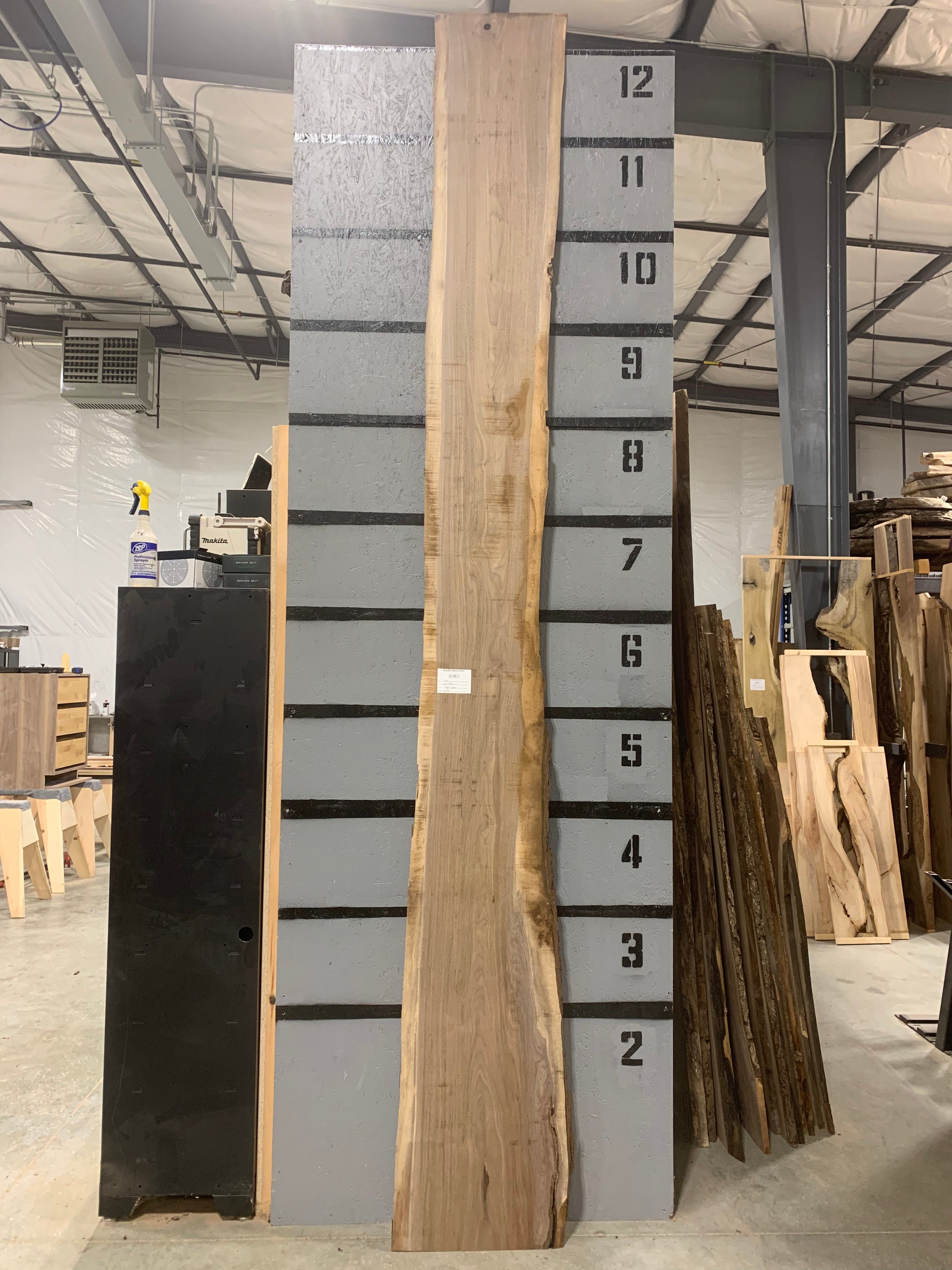 Black Walnut Slab | W498