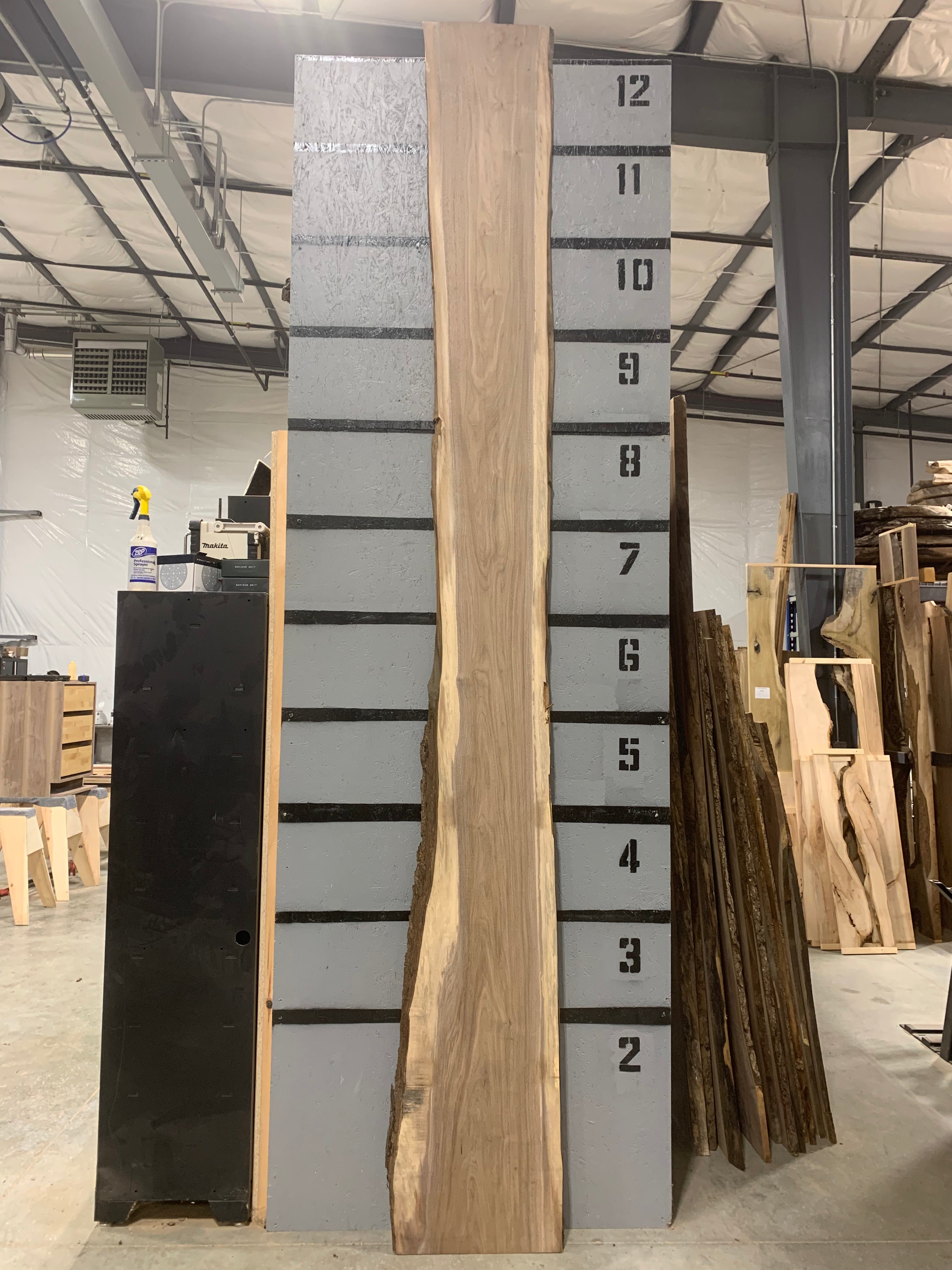 Black Walnut Slab | W498