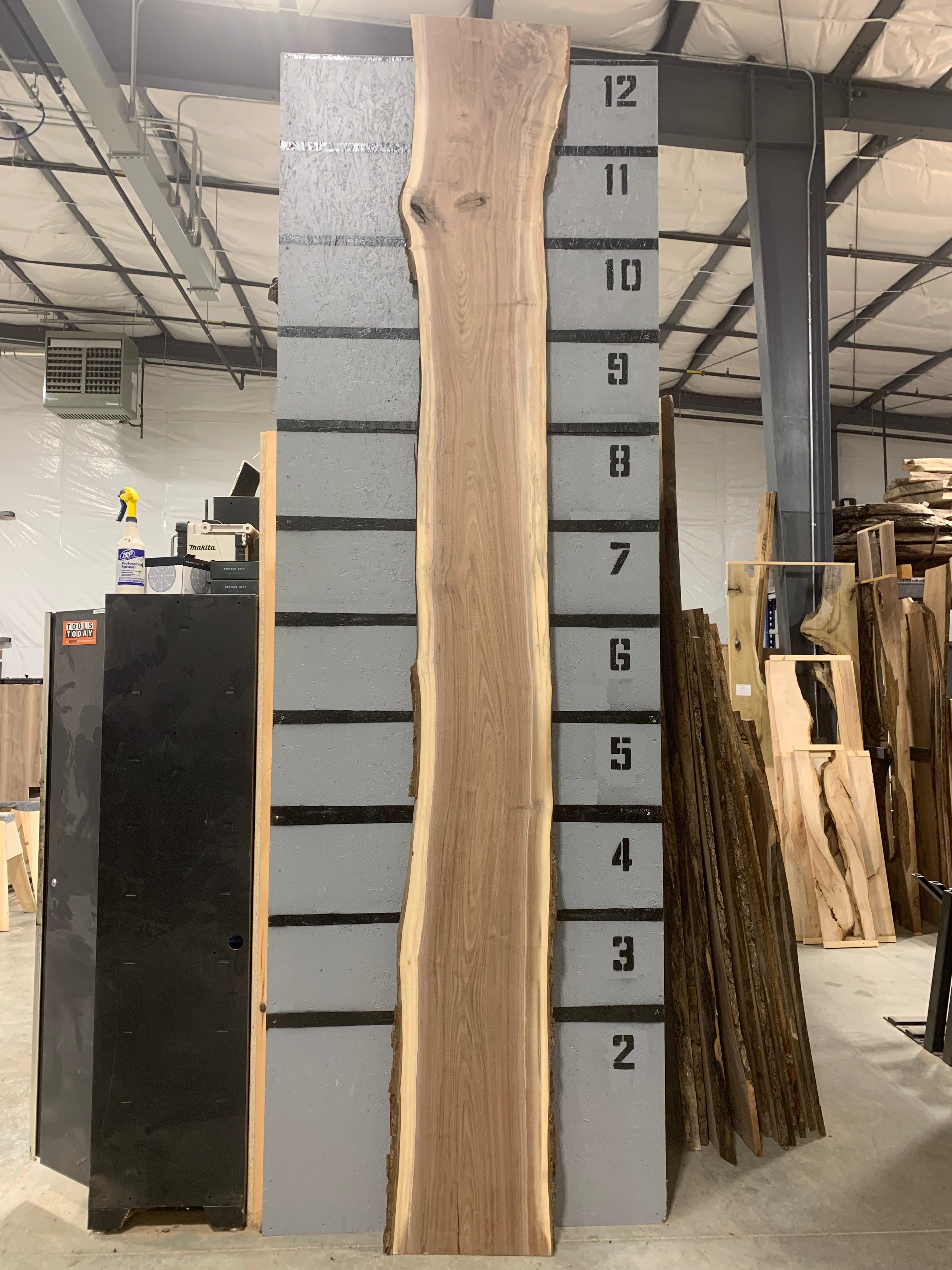 Black Walnut Slab | W499