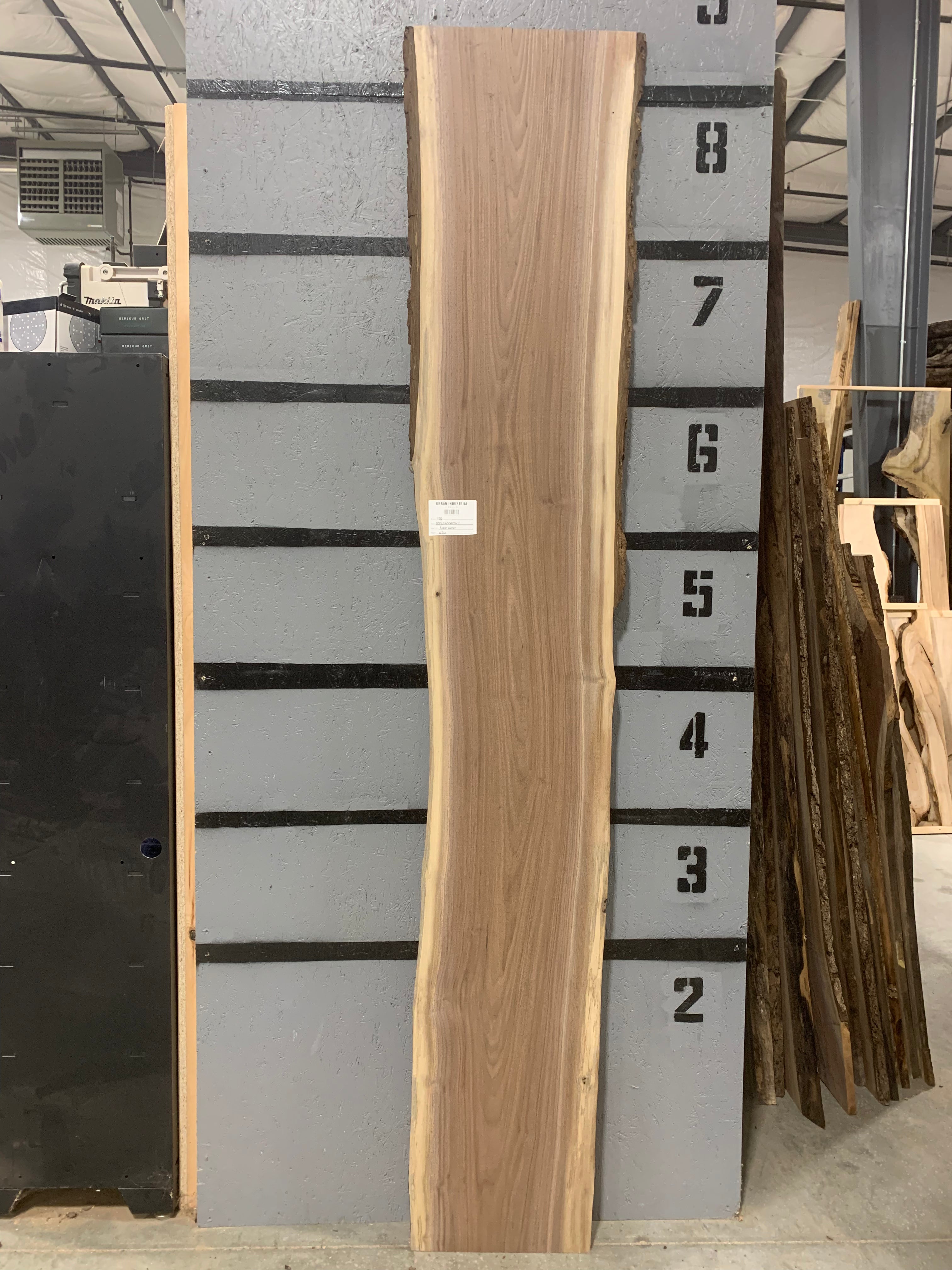 Black Walnut Slab | W501
