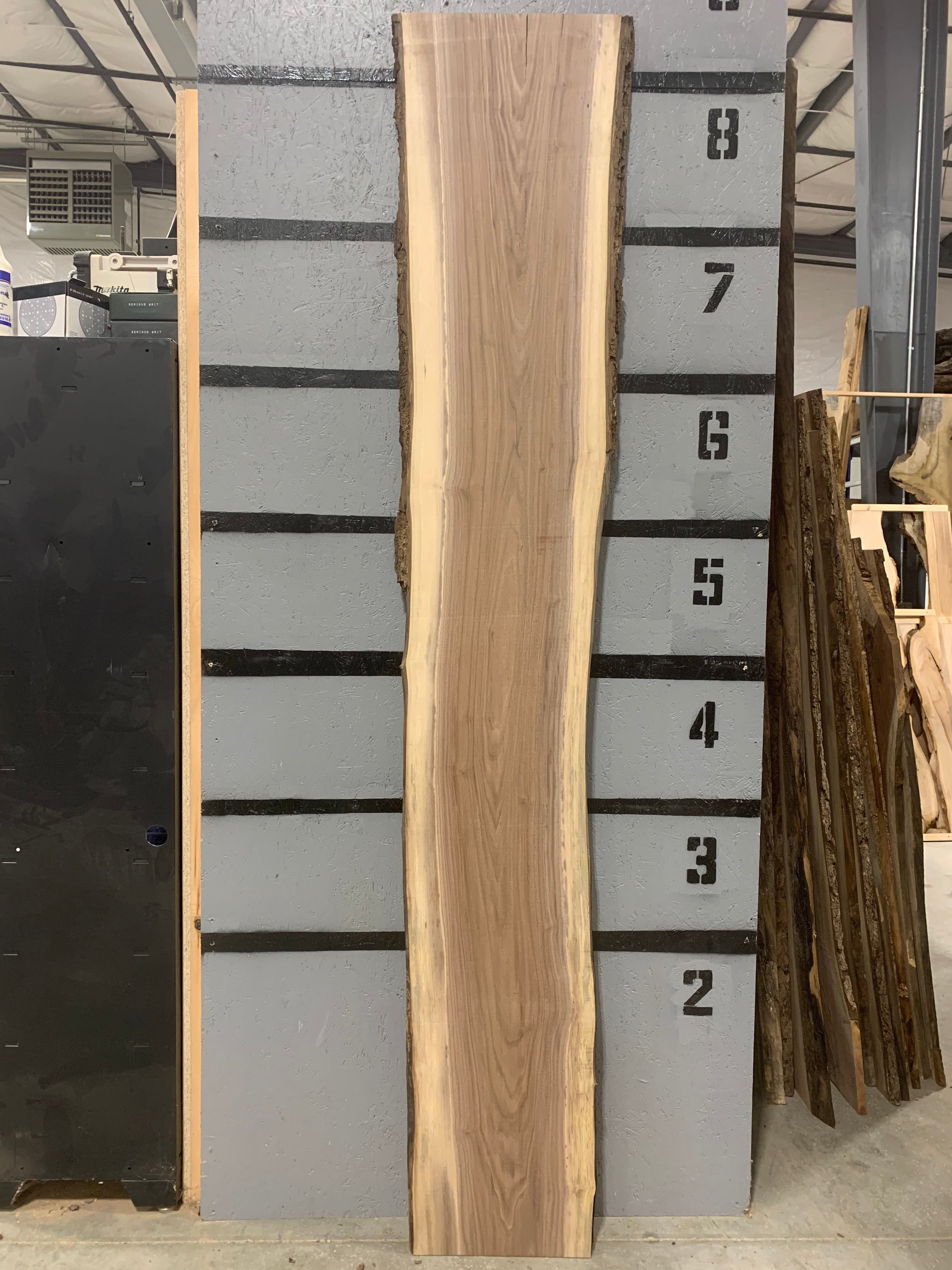 Black Walnut Slab | W501