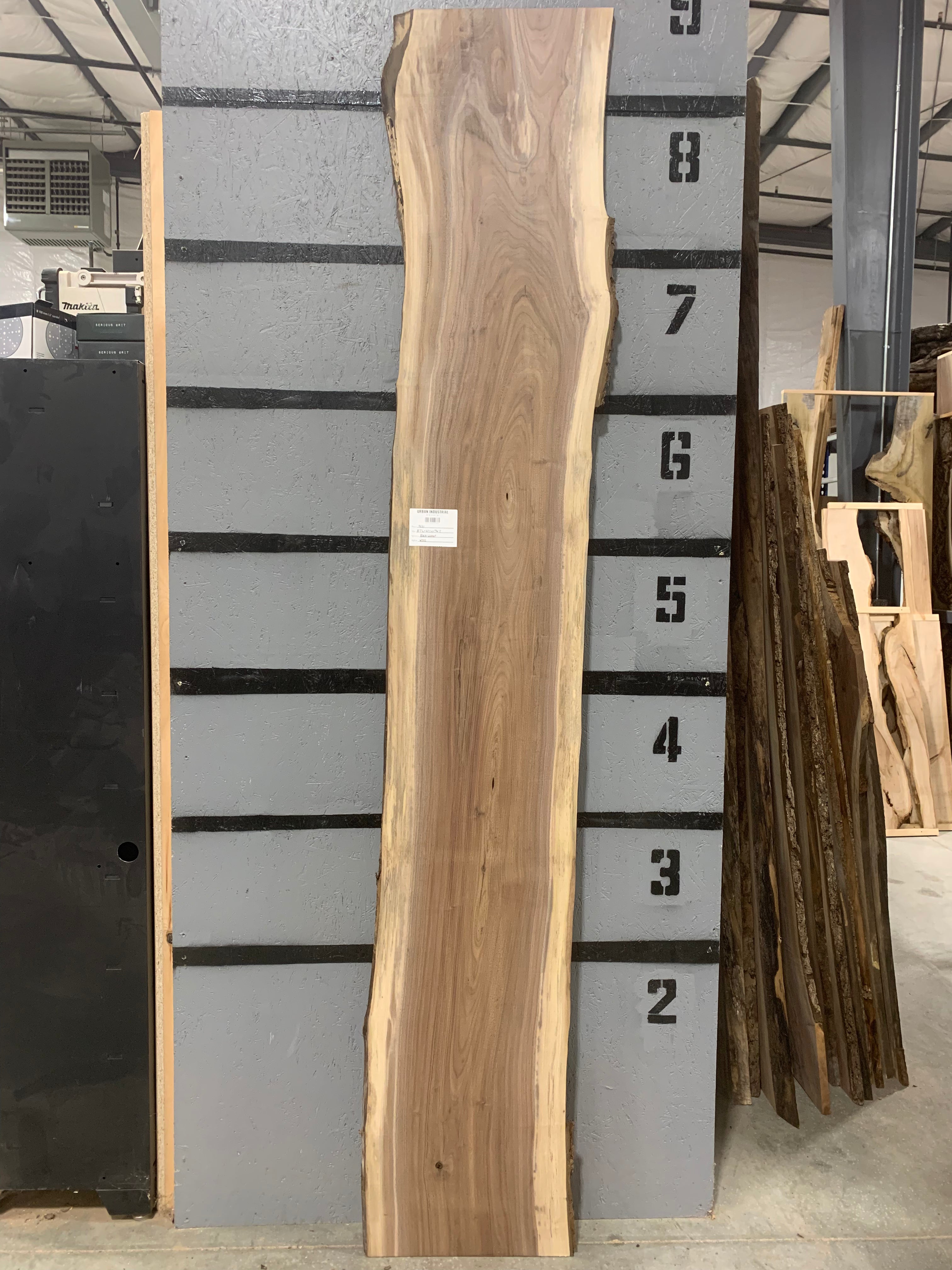 Black Walnut Slab | W502