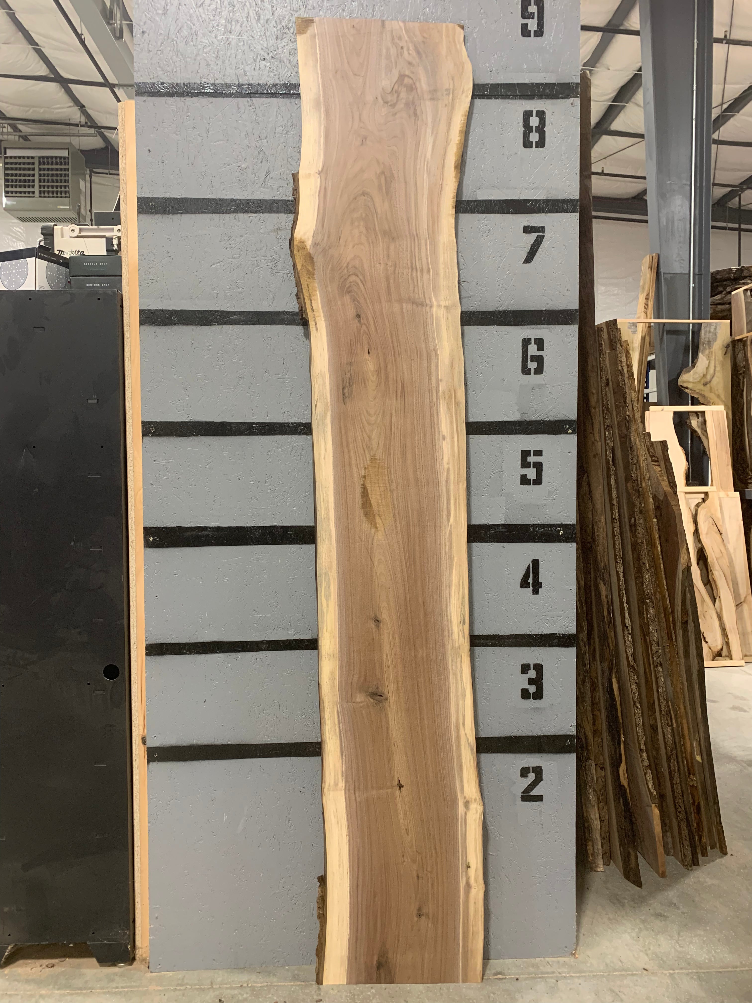 Black Walnut Slab | W502