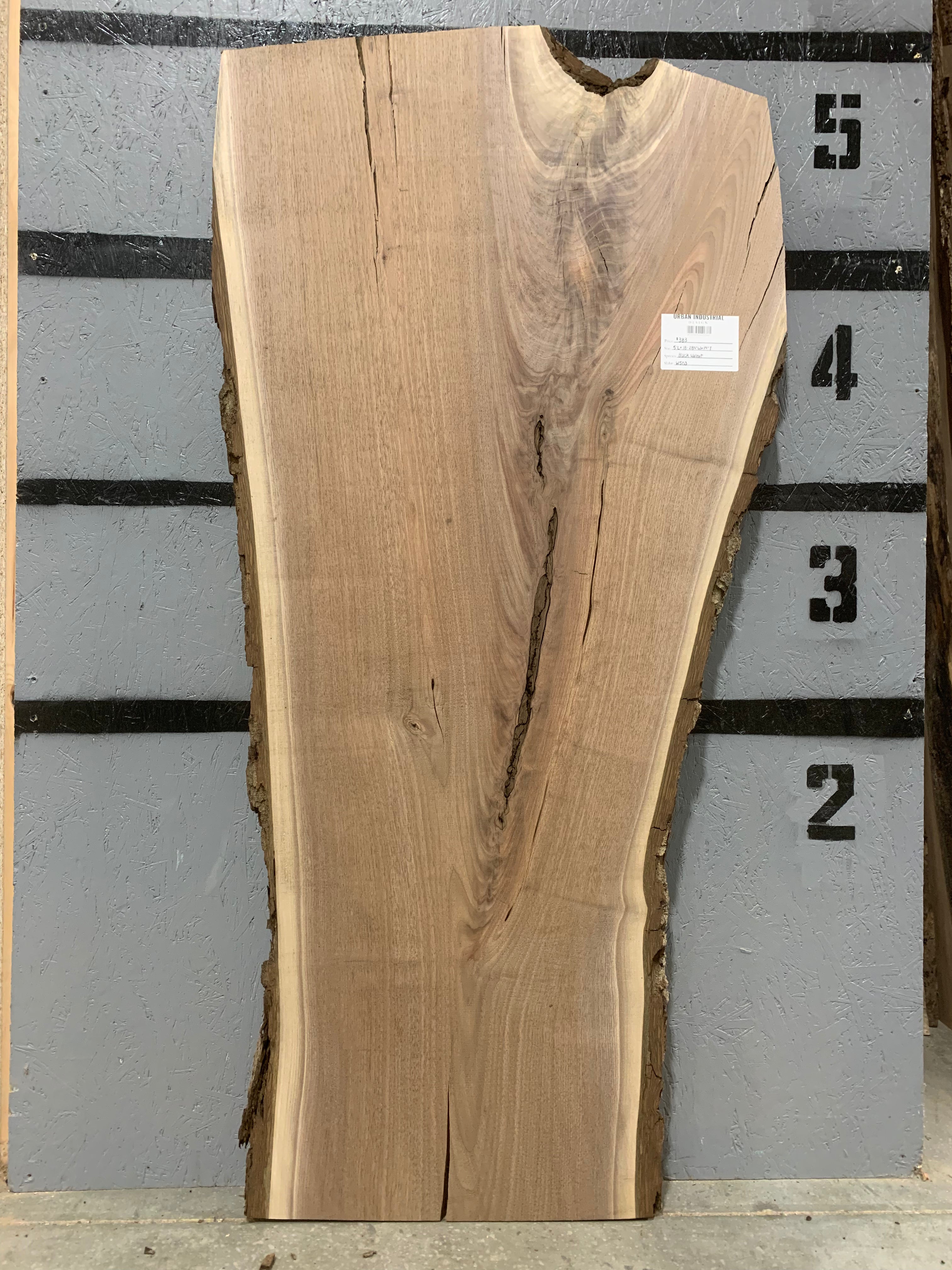 Black Walnut Slab | W503