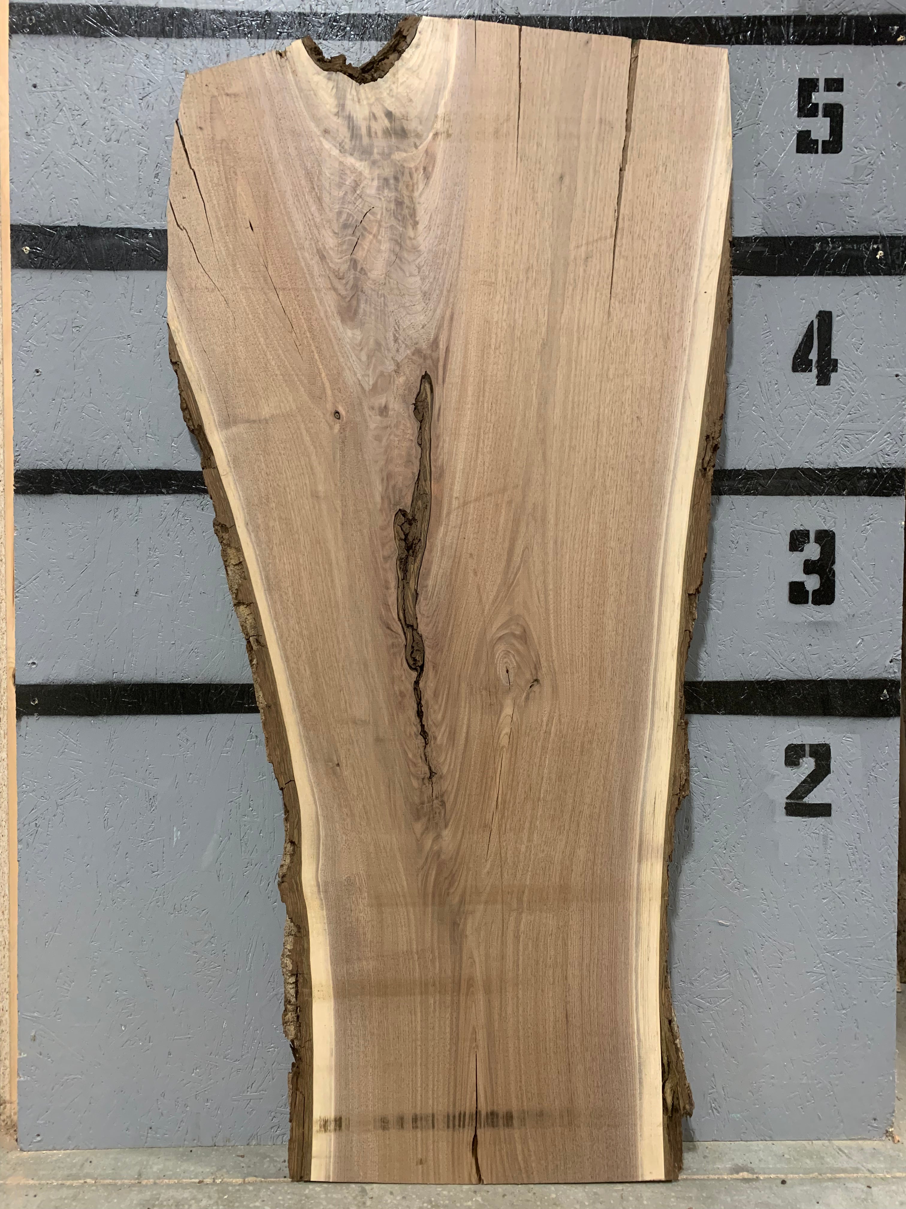 Black Walnut Slab | W503