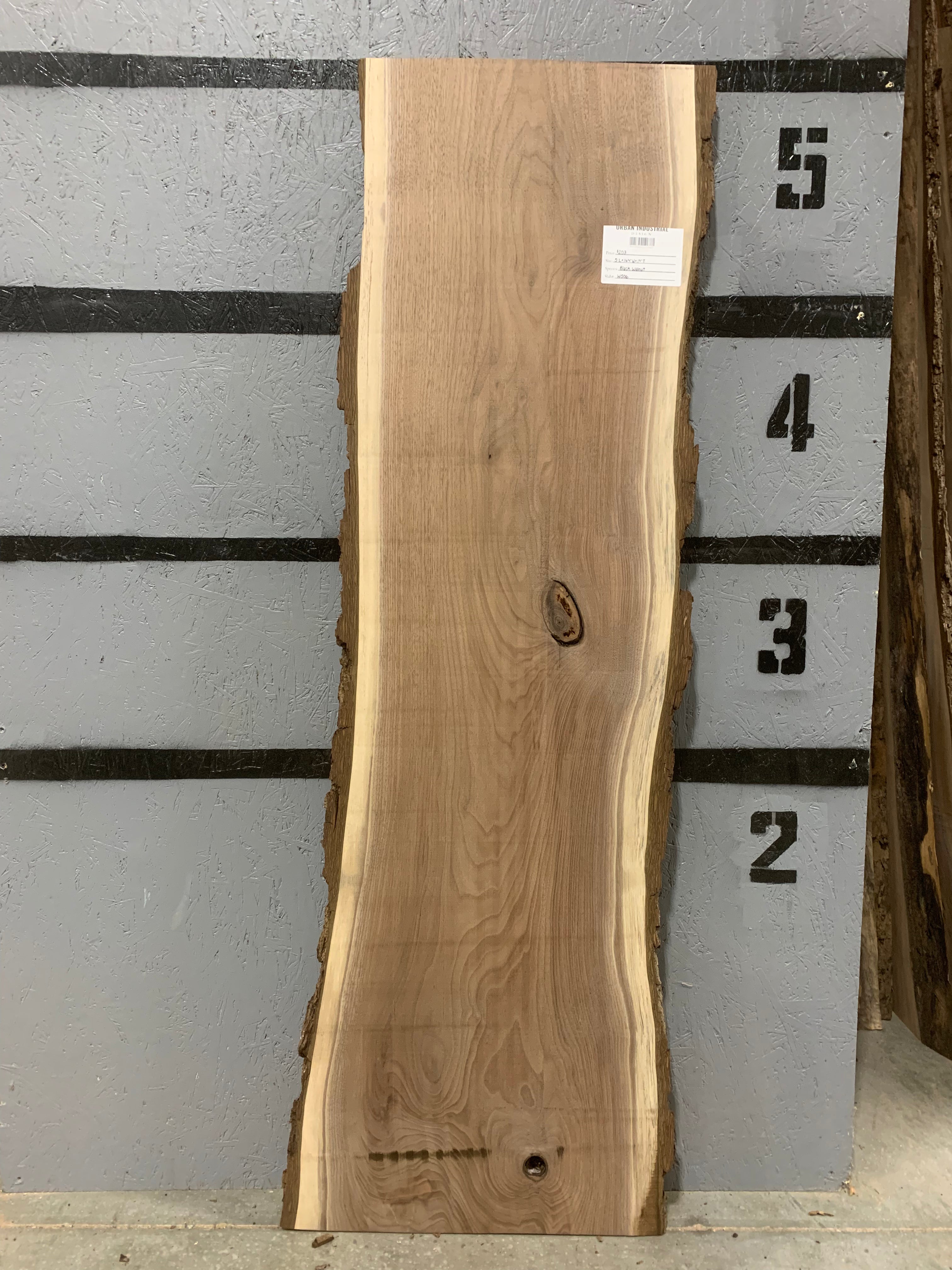 Black Walnut Slab | W506
