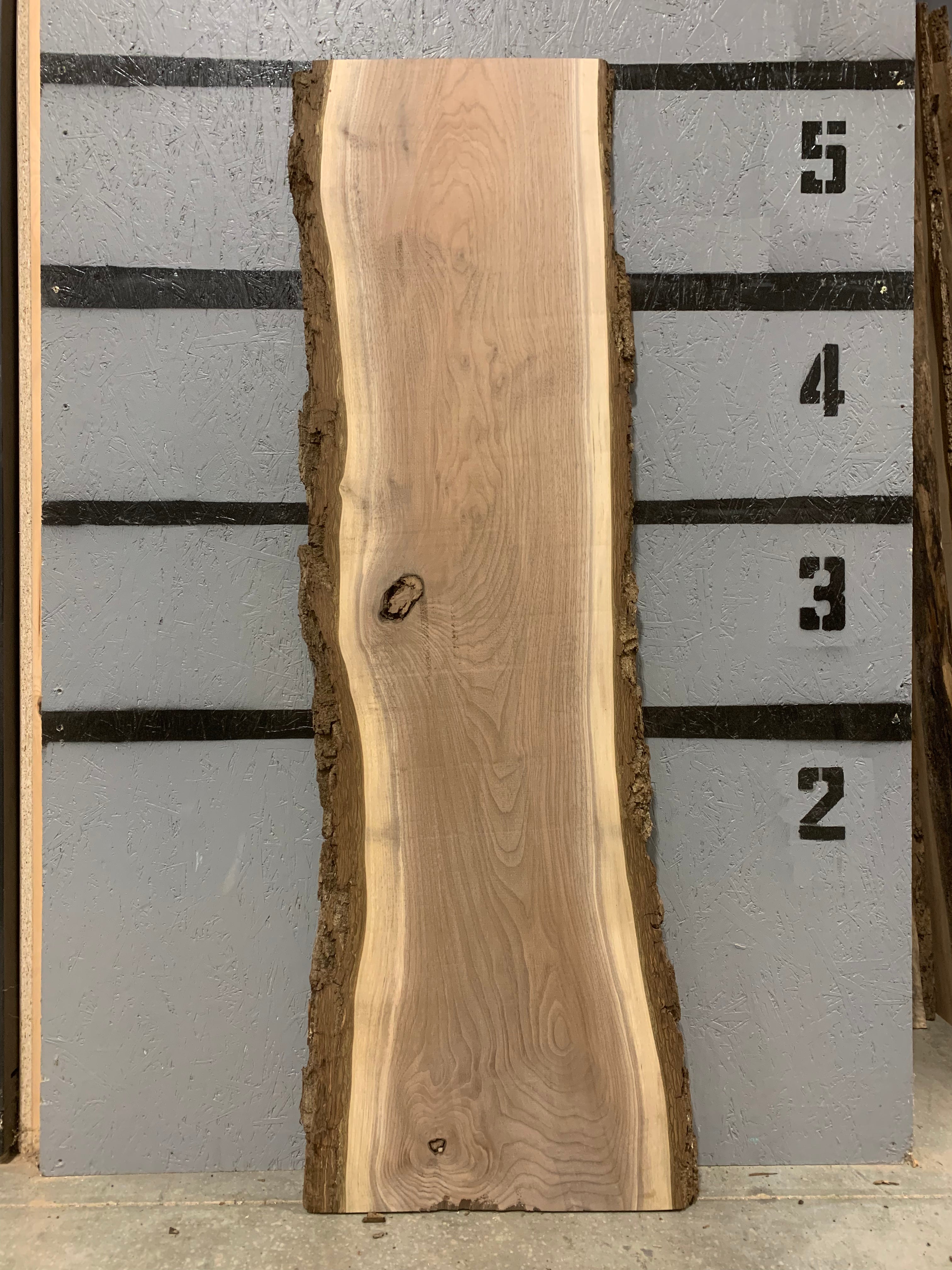 Black Walnut Slab | W506