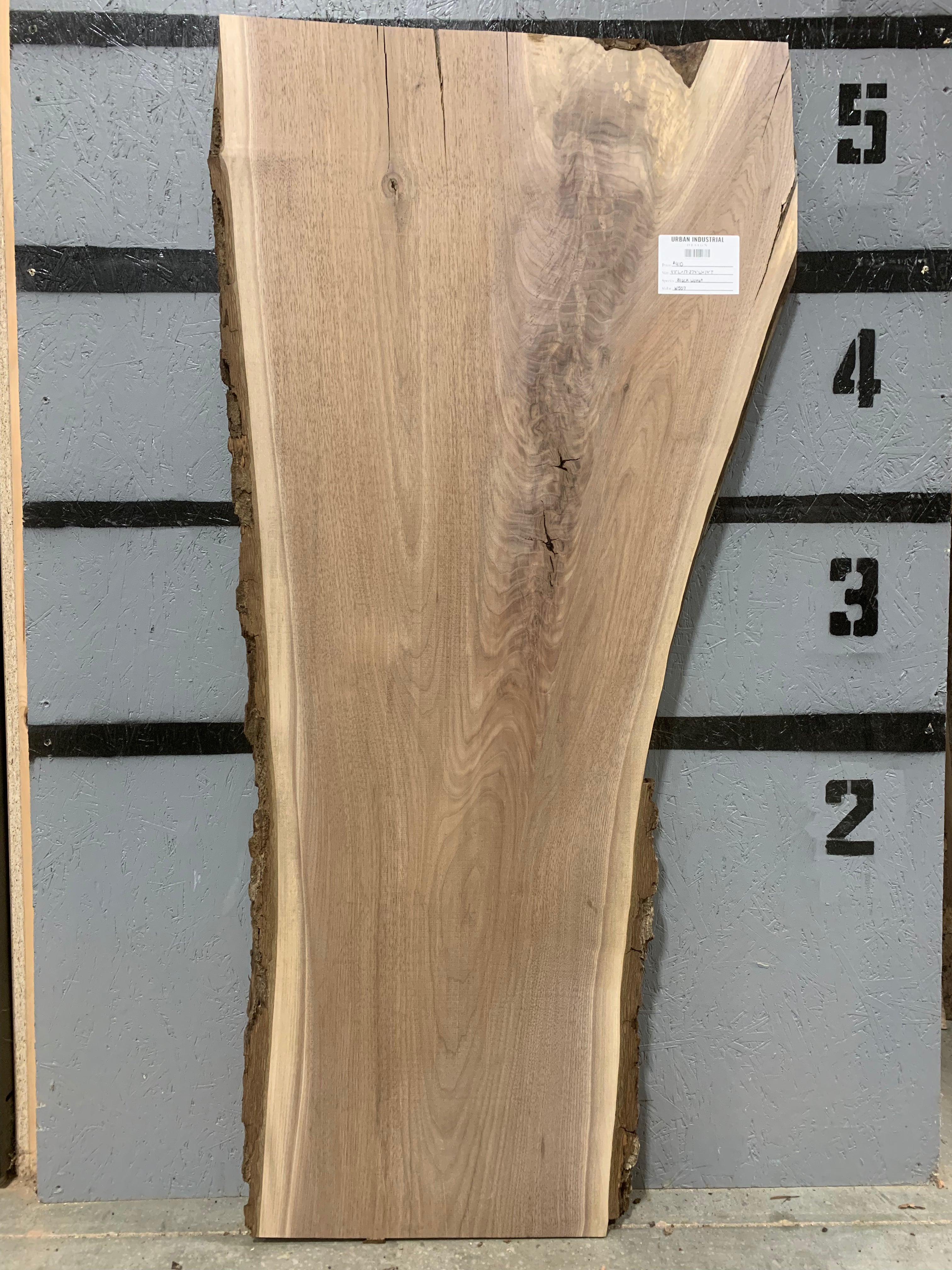 Black Walnut Slab | W507