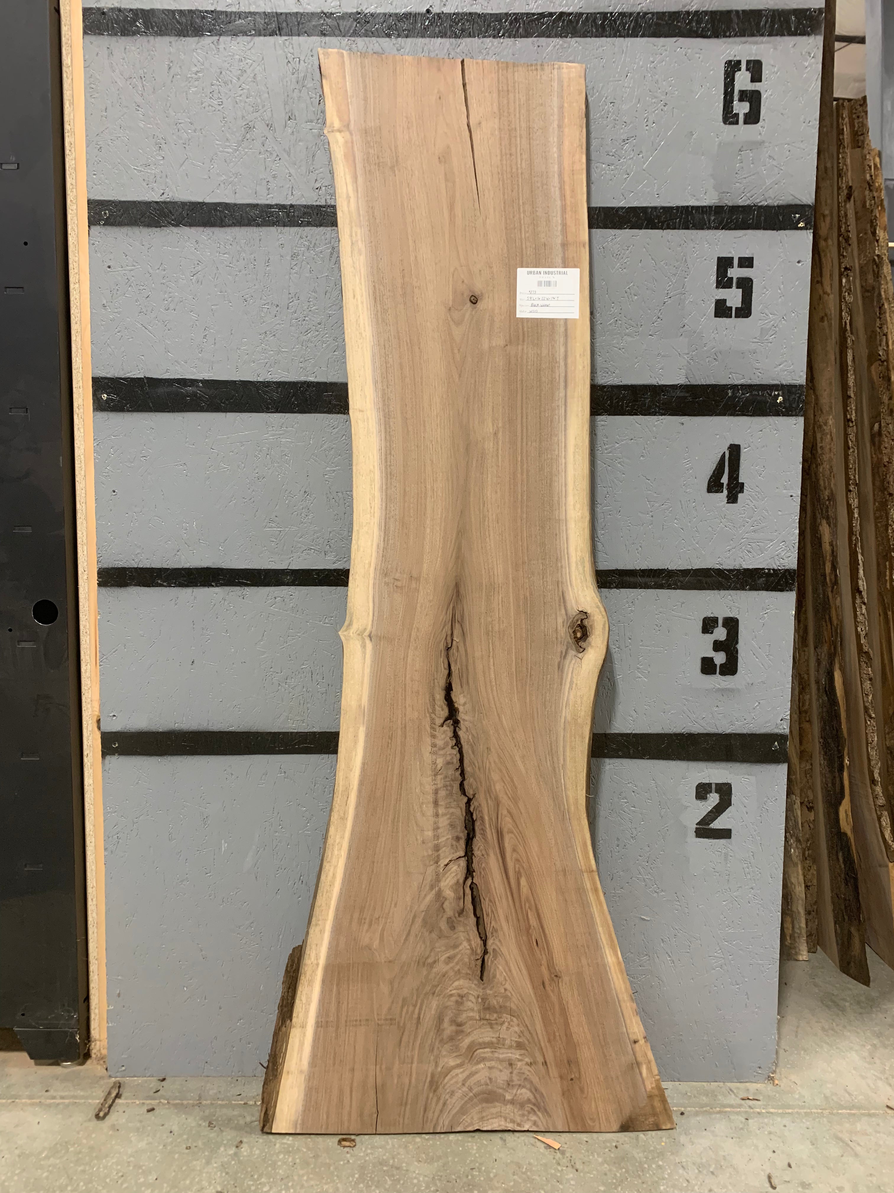 Black Walnut Slab | W510