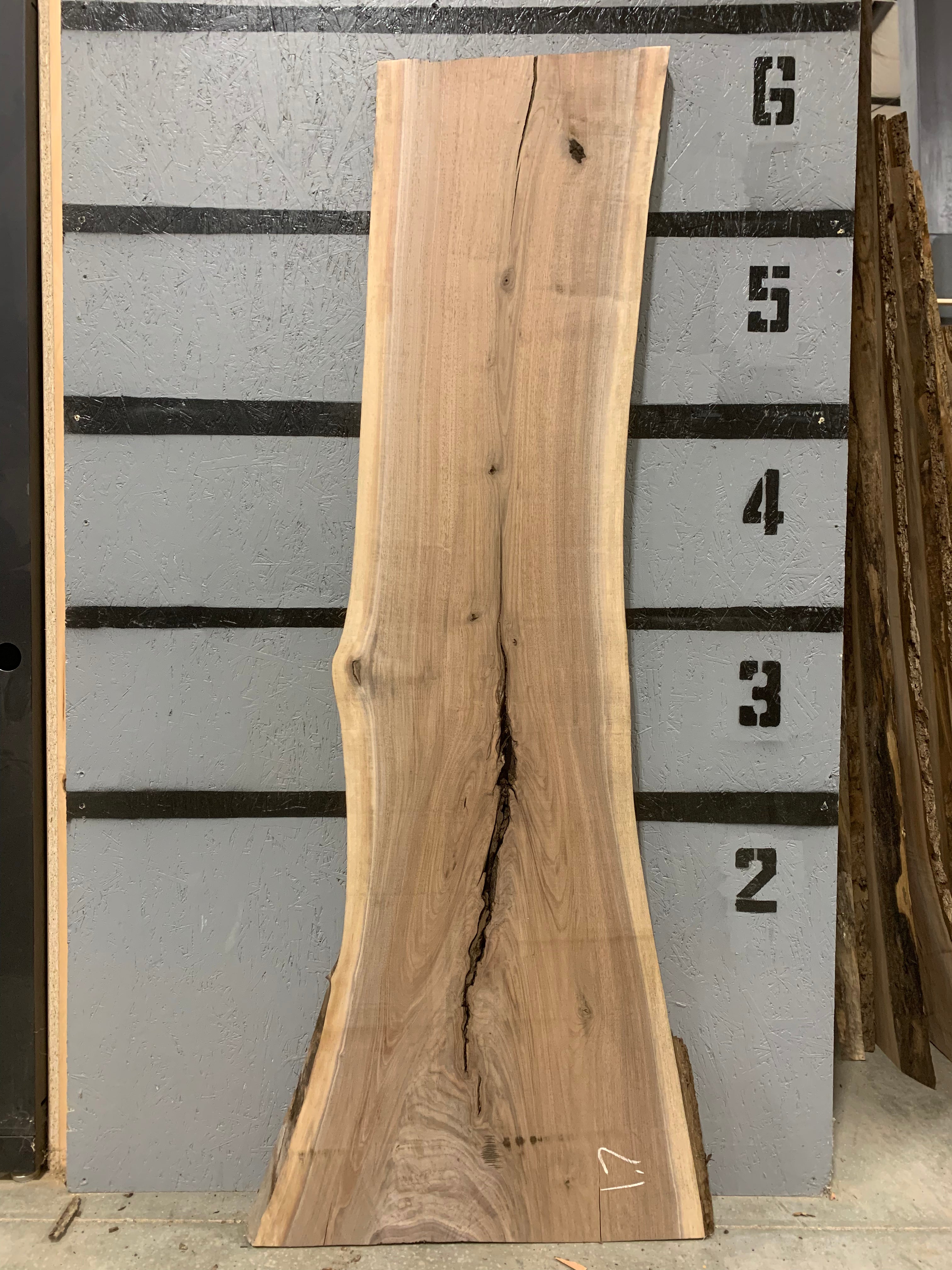 Black Walnut Slab | W510