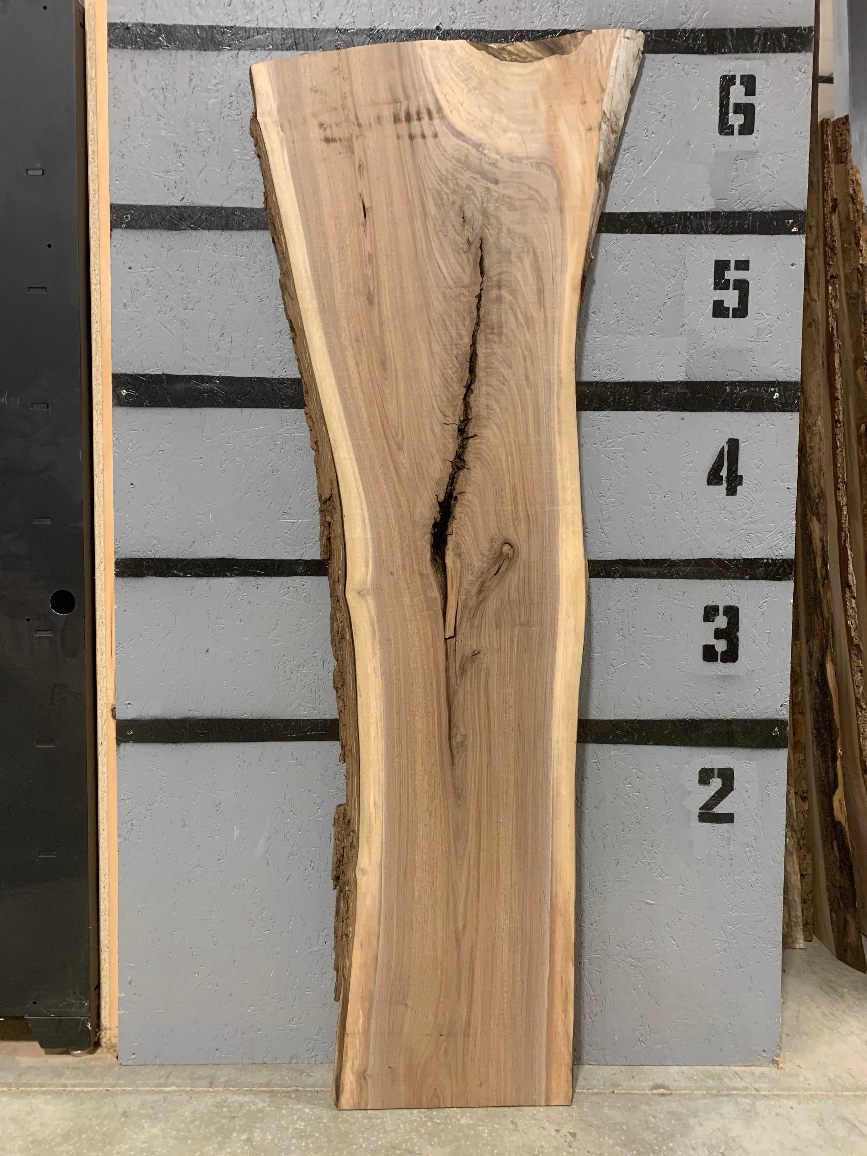 Black Walnut Slab | W511