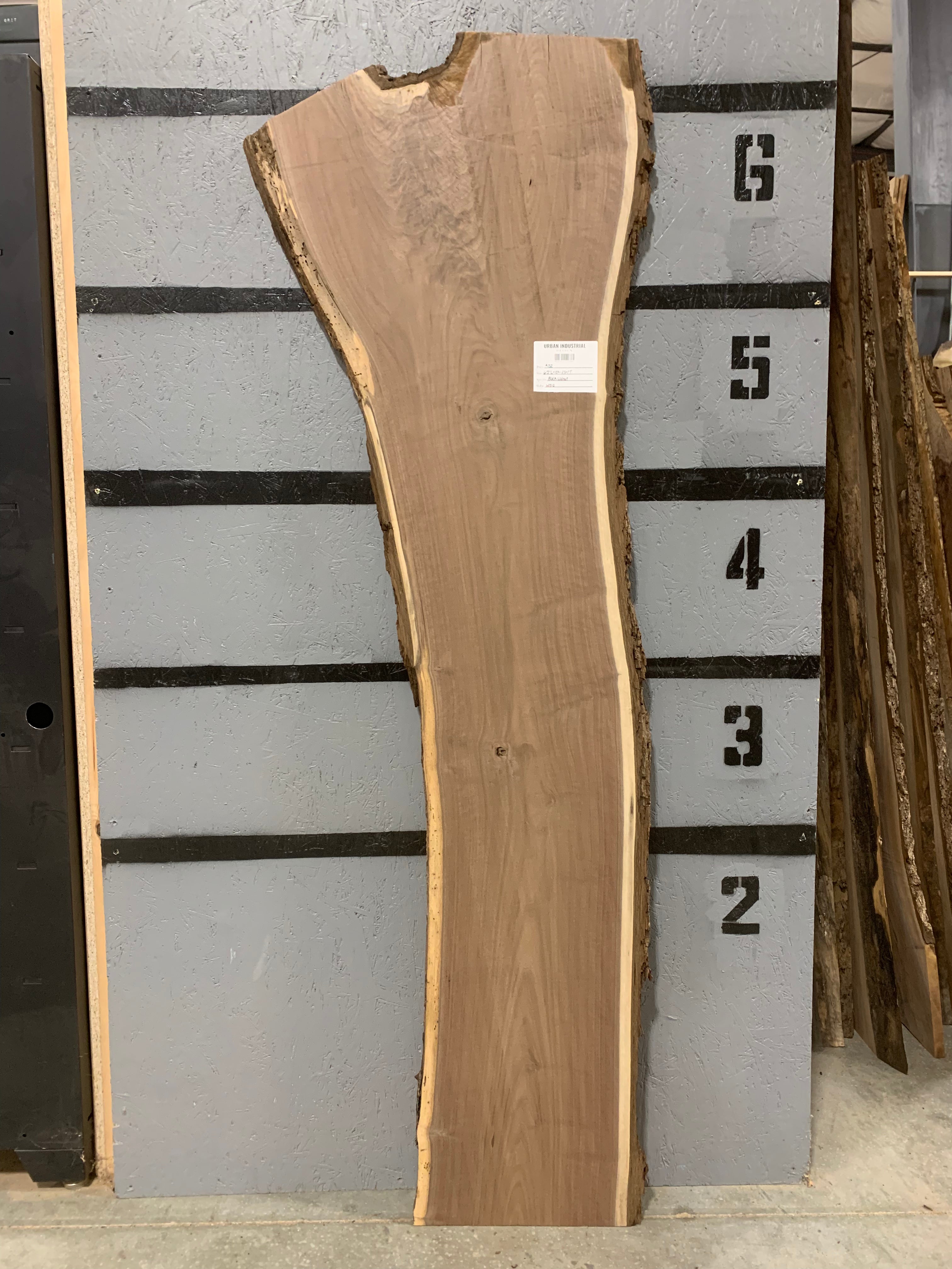 Black Walnut Slab | W512