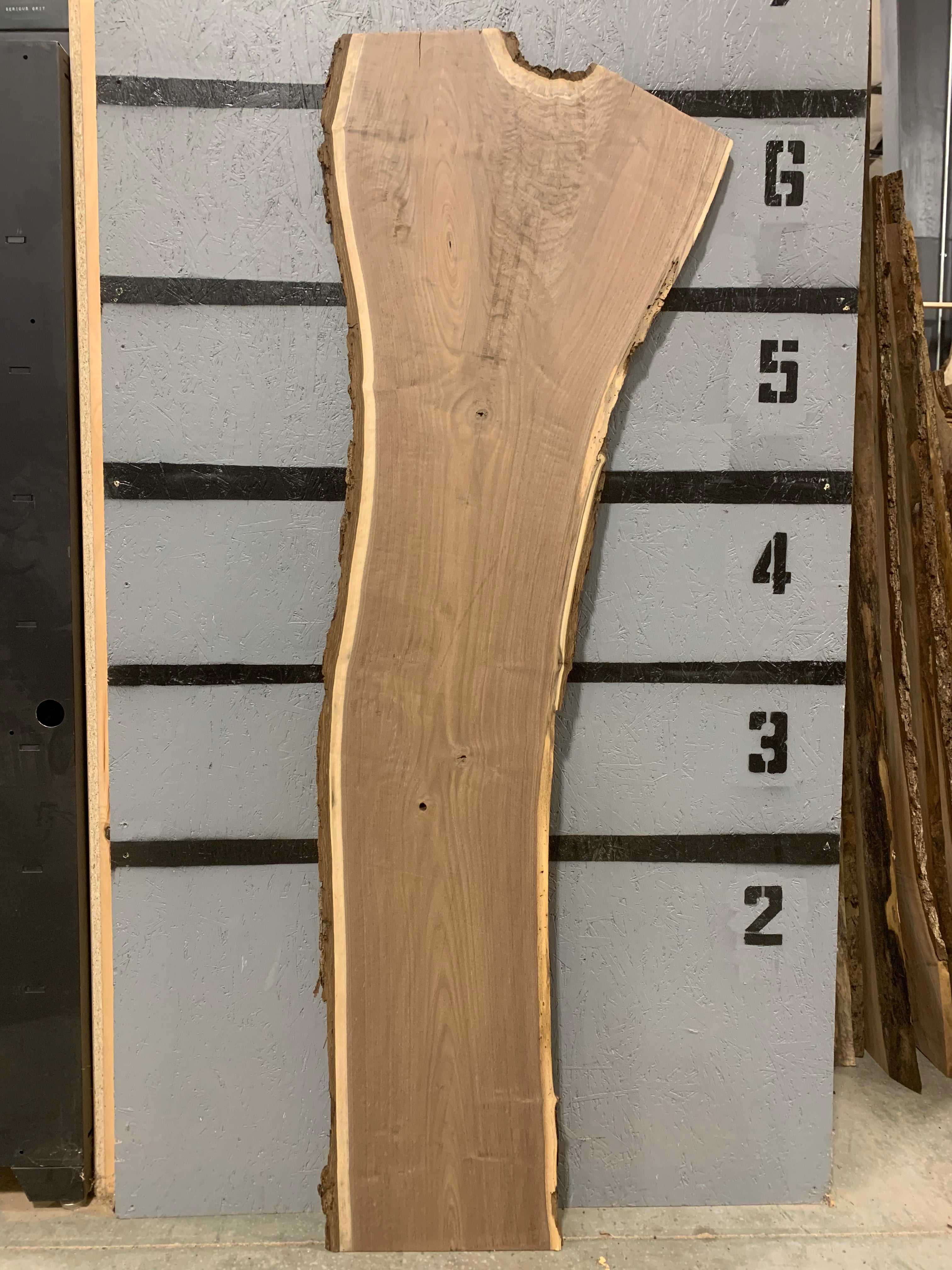 Black Walnut Slab | W512