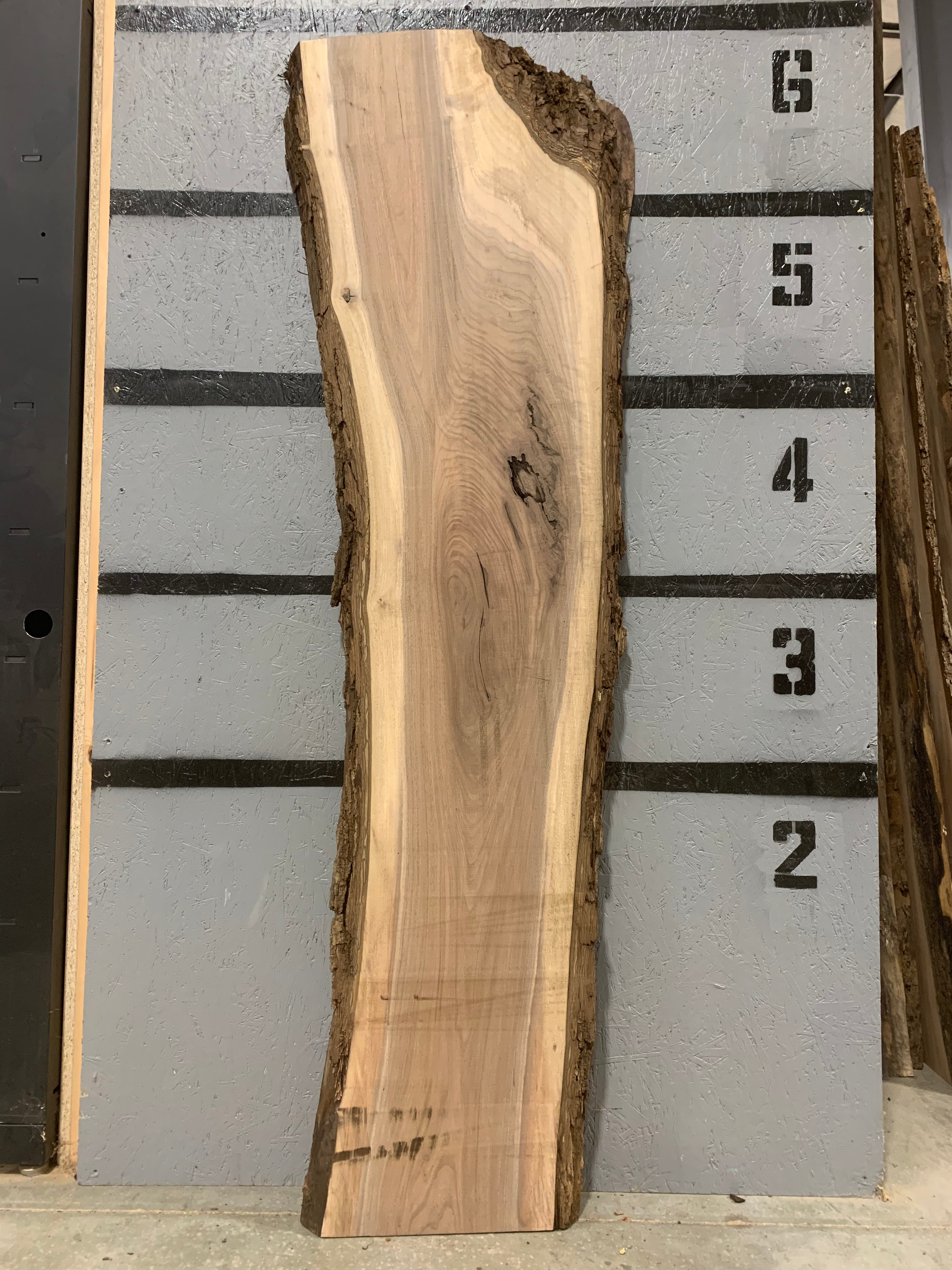 Black Walnut Slab | W513