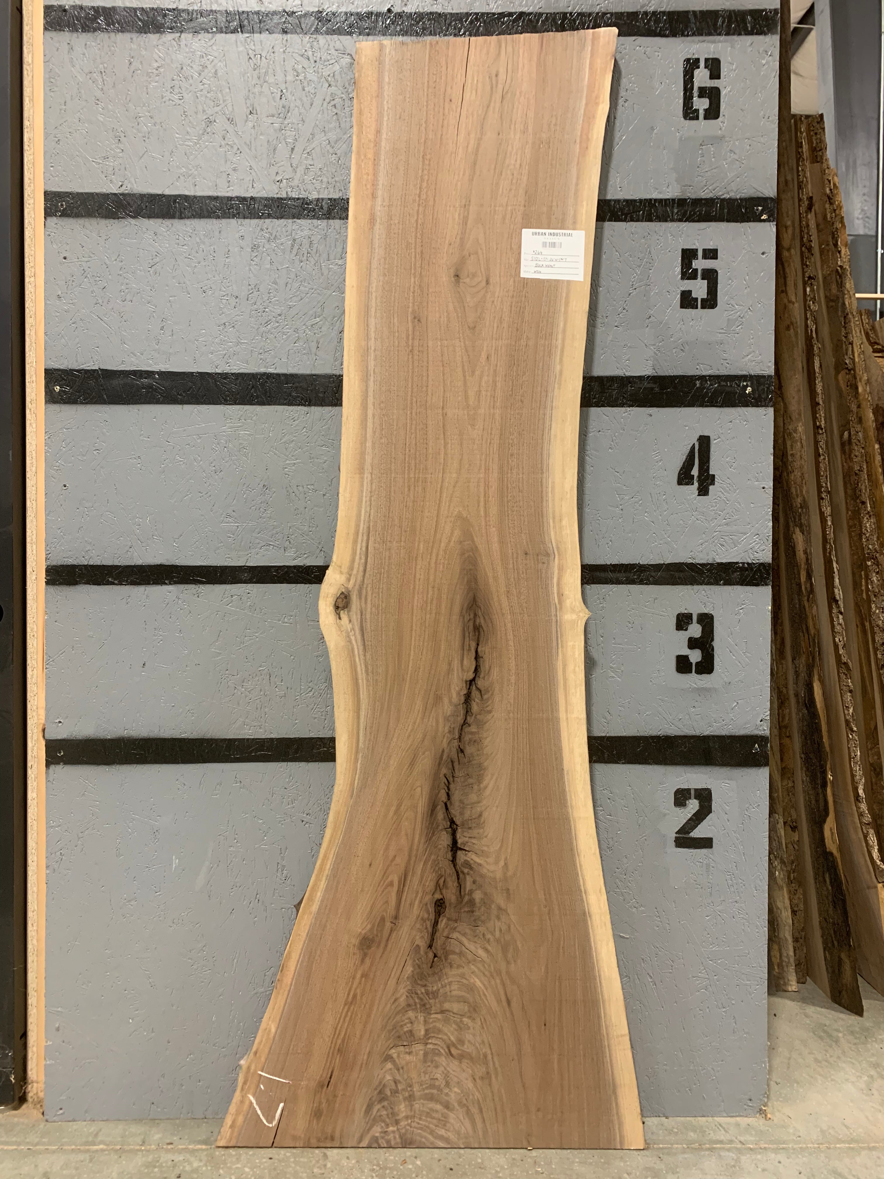 Black Walnut Slab | W514