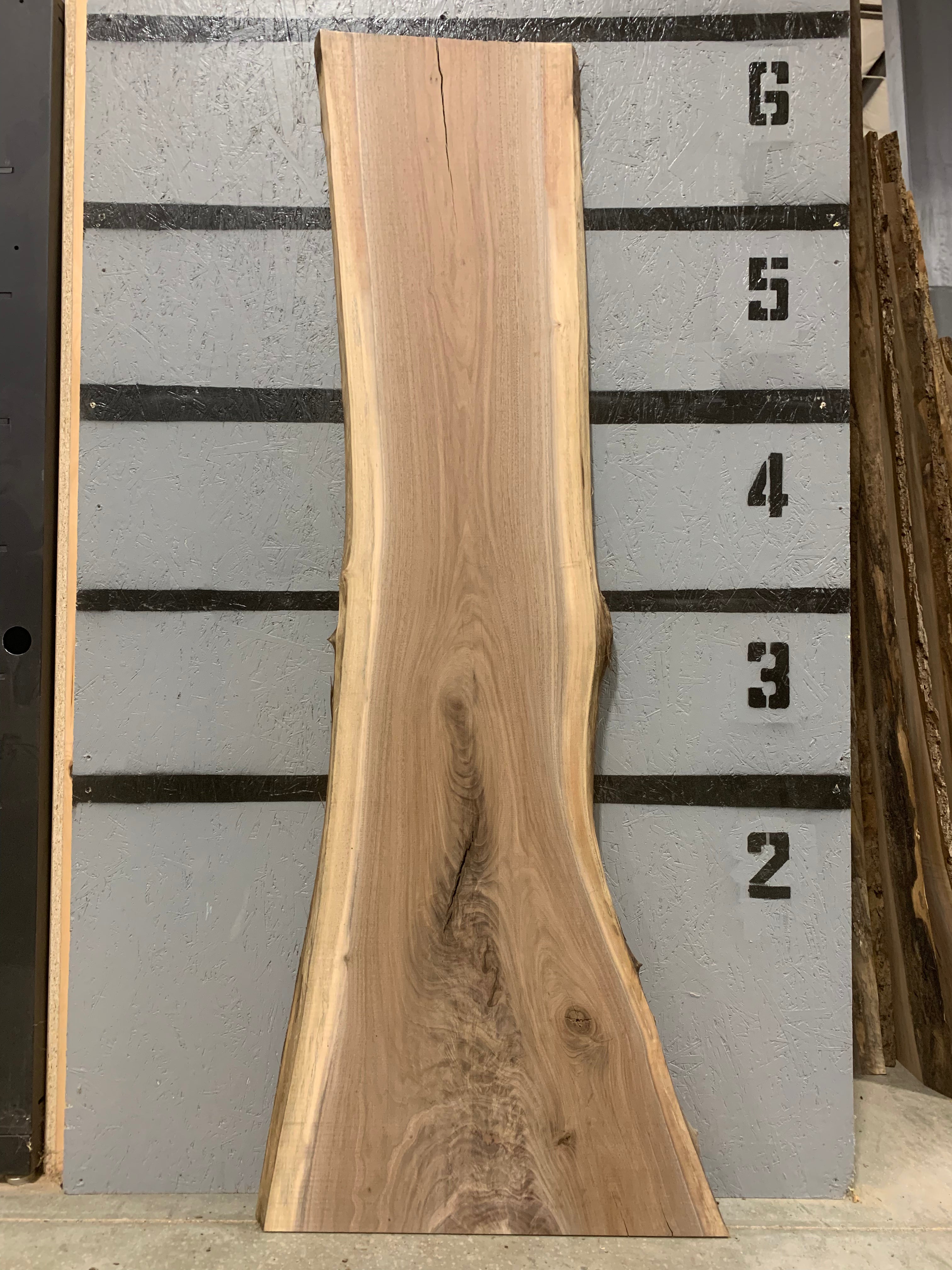 Black Walnut Slab | W514