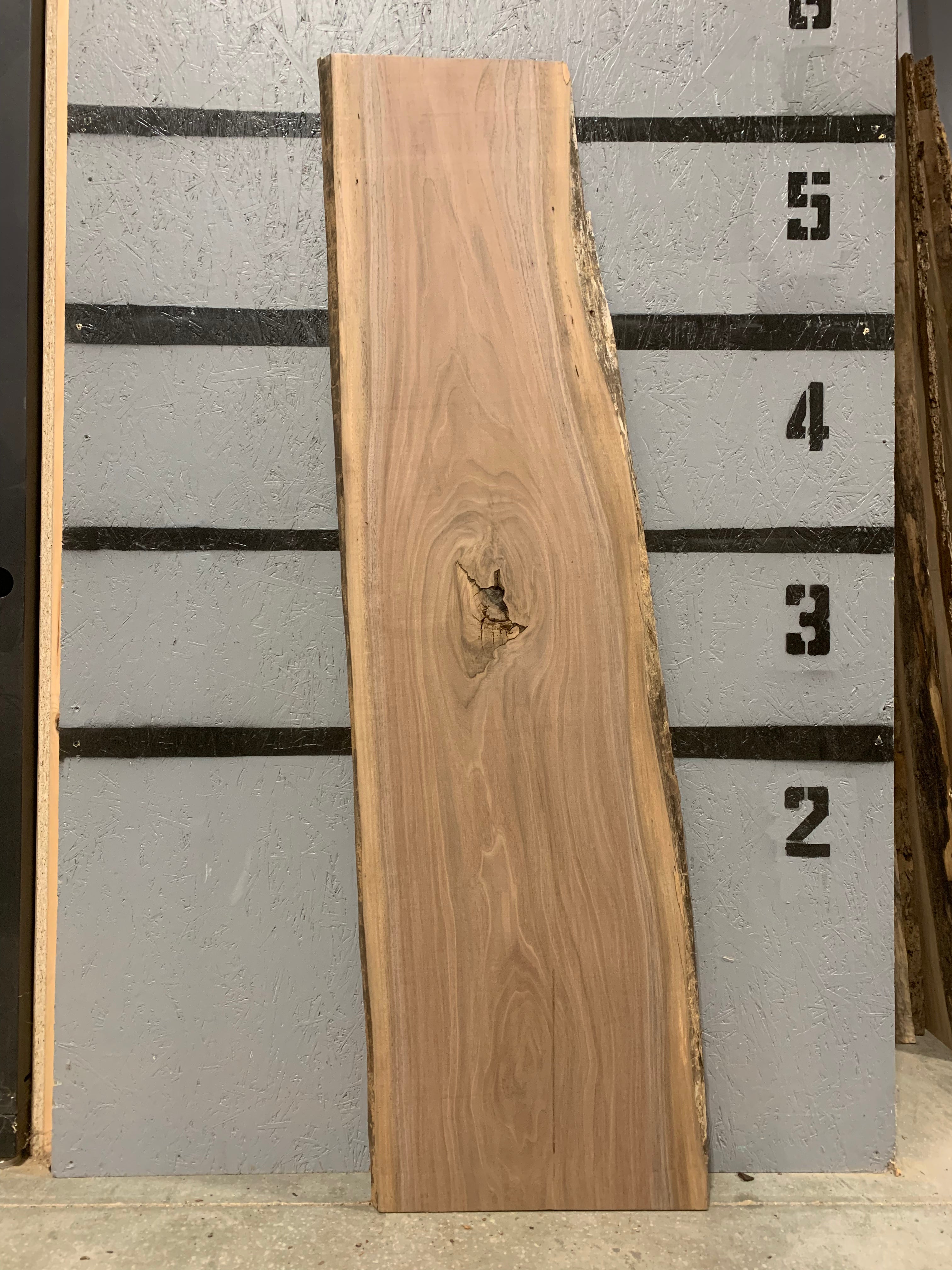 Black Walnut Slab | W516