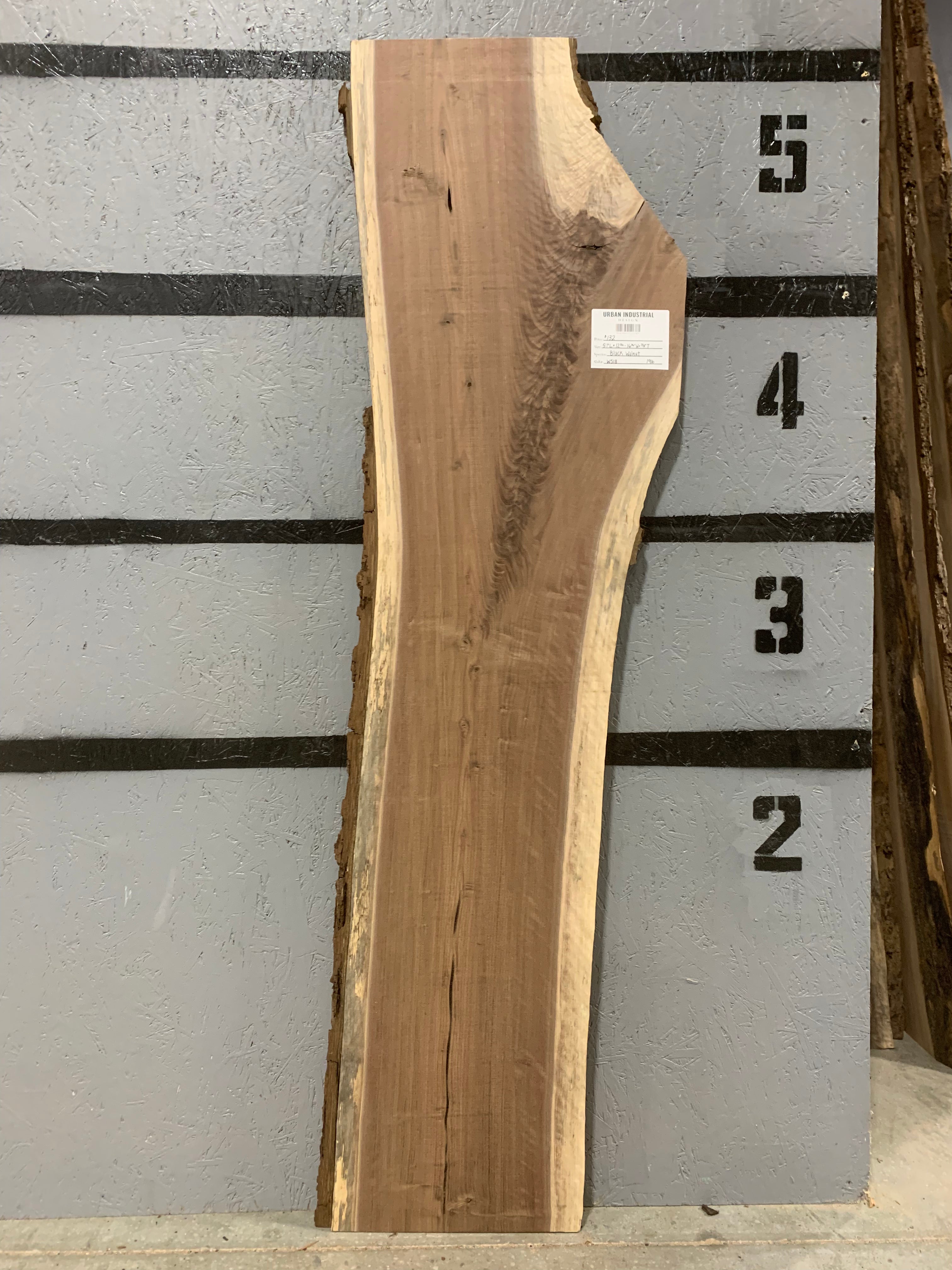 Black Walnut Slab | W518